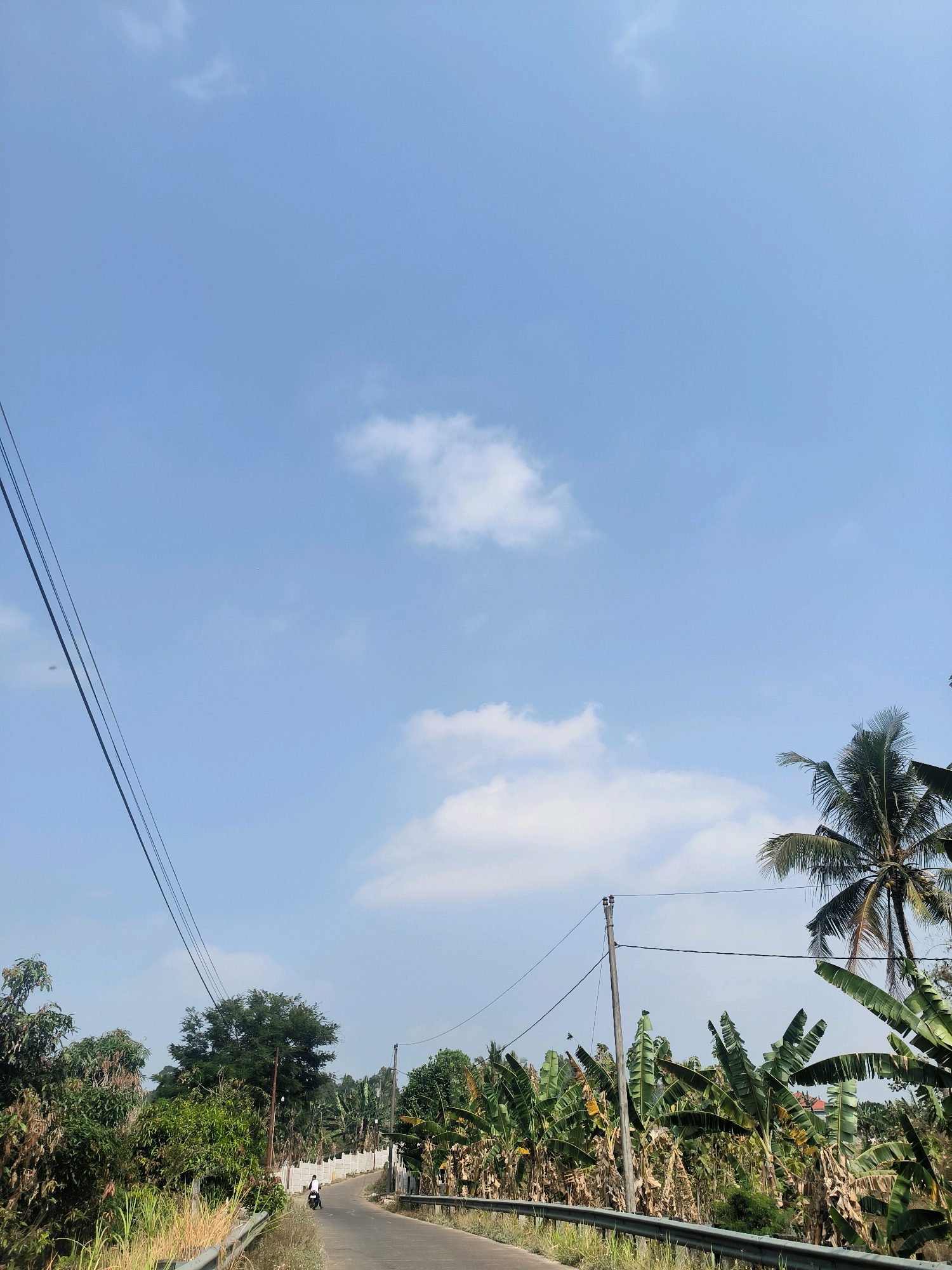 The image captures a scenic view of a road curving through a tropical landscape under a bright blue sky dotted with sparse clouds. The scene is set in Bawen, Indonesia. Lush green vegetation, including banana trees and other tropical foliage, lines both sides of the asphalt road. A lone individual on a motorcycle is seen traveling along the road, heading away from the camera. Overhead power lines crisscross the sky, a common sight in many parts of Indonesia. In the background, a low concrete wall separates the road from the dense greenery. The overall impression is one of a rural or semi-rural setting, possibly on the outskirts of a town or village in Indonesia.