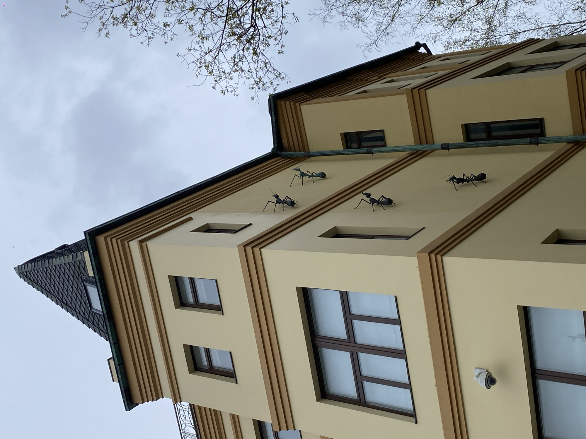 The image presents an upward-angled view of a distinctive multi-story building in Moscow, Russia, against a light grey, overcast sky. The building features a unique architectural design with light yellow or beige walls, accented by prominent brown trim that creates a layered, geometric effect on its protruding sections.
A notable and whimsical detail of the facade is the presence of three large, dark-colored sculptures of ants, appearing to crawl upwards along a horizontal green pipe-like structure situated on one of the building's levels. The building has numerous rectangular windows with dark brown frames, some with visible mullions. A steep, dark tiled roof is visible on the upper left side of the structure, adding to its complex form.
Bare tree branches with nascent green leaves are visible in the upper portion of the frame, silhouetted against the soft, diffused light of the cloudy sky, suggesting a daytime scene in spring. A white security camera is mounted on the building's exterior wall near a window in the lower right. No people or visible text are present.