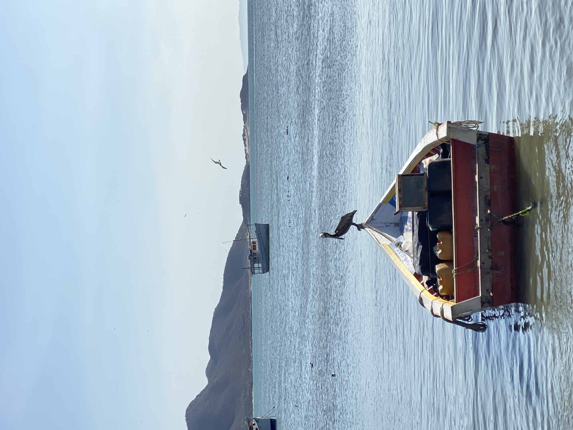 This image depicts a tranquil coastal scene in Juan Griego, Venezuela, under a clear, light blue sky. In the foreground, a small, brightly painted fishing boat, primarily red with white and yellow accents, floats gently on calm water towards the right side of the frame. A brown pelican is prominently perched on the bow of this boat, facing left, observing the open water. Inside the boat, several yellow and dark containers, likely fuel tanks or storage bins, are visible along with coiled ropes. The water immediately surrounding the boat appears slightly murky or reflective, transitioning to a clearer blue further out.
In the midground, further towards the left, another smaller, dark-colored boat is seen floating on the water, set against the backdrop of distant mountains. The expansive body of water, likely the sea or a large bay, displays subtle ripples and reflections. The background is dominated by hazy, dark mountains or hills that rise directly from the water, stretching along the left horizon.
The sky above is a soft, uniform light blue, indicating clear weather conditions. Scattered throughout the scene are several seabirds; one large bird is captured in flight high in the sky, while others are either flying closer to the water or resting on its surface in the distance. The overall impression is one of peaceful natural beauty, characteristic of a coastal fishing village. The lighting suggests daytime, possibly morning or late afternoon, with soft, even illumination. No discernible text is visible on any of the boats or elements within the scene.