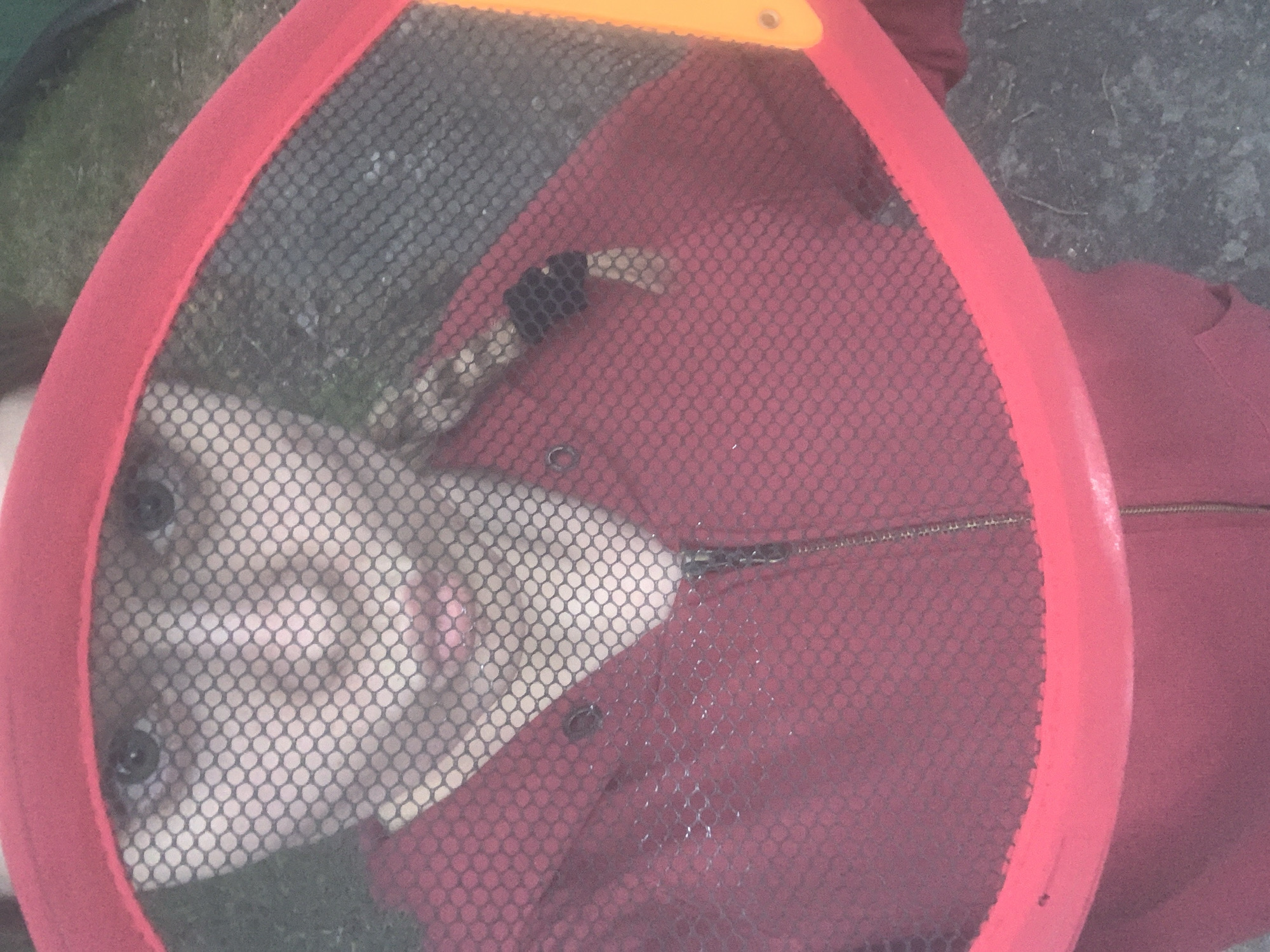 An overhead close-up shot depicts an individual, likely female, observed through the hexagonal black mesh of a large, red-framed oval object, possibly a toy racket, held directly in front of the face. The individual's dark eyes gaze forward, and lips are slightly parted. A light-colored braid or ponytail extends from the right side of the neck/shoulder area, visible beneath the mesh. The person wears a dark red or maroon zippered hooded sweatshirt, with the metallic zipper and two dark buttons or snaps discernible on the chest. The red frame of the object outlines the central portion of the image, with an orange section, possibly a handle, visible on the right side of the frame. The background, visible above the frame and to the right, indicates an outdoor setting featuring patches of green vegetation and dark ground. The scene is situated in the city of Boitsovo, Russia.