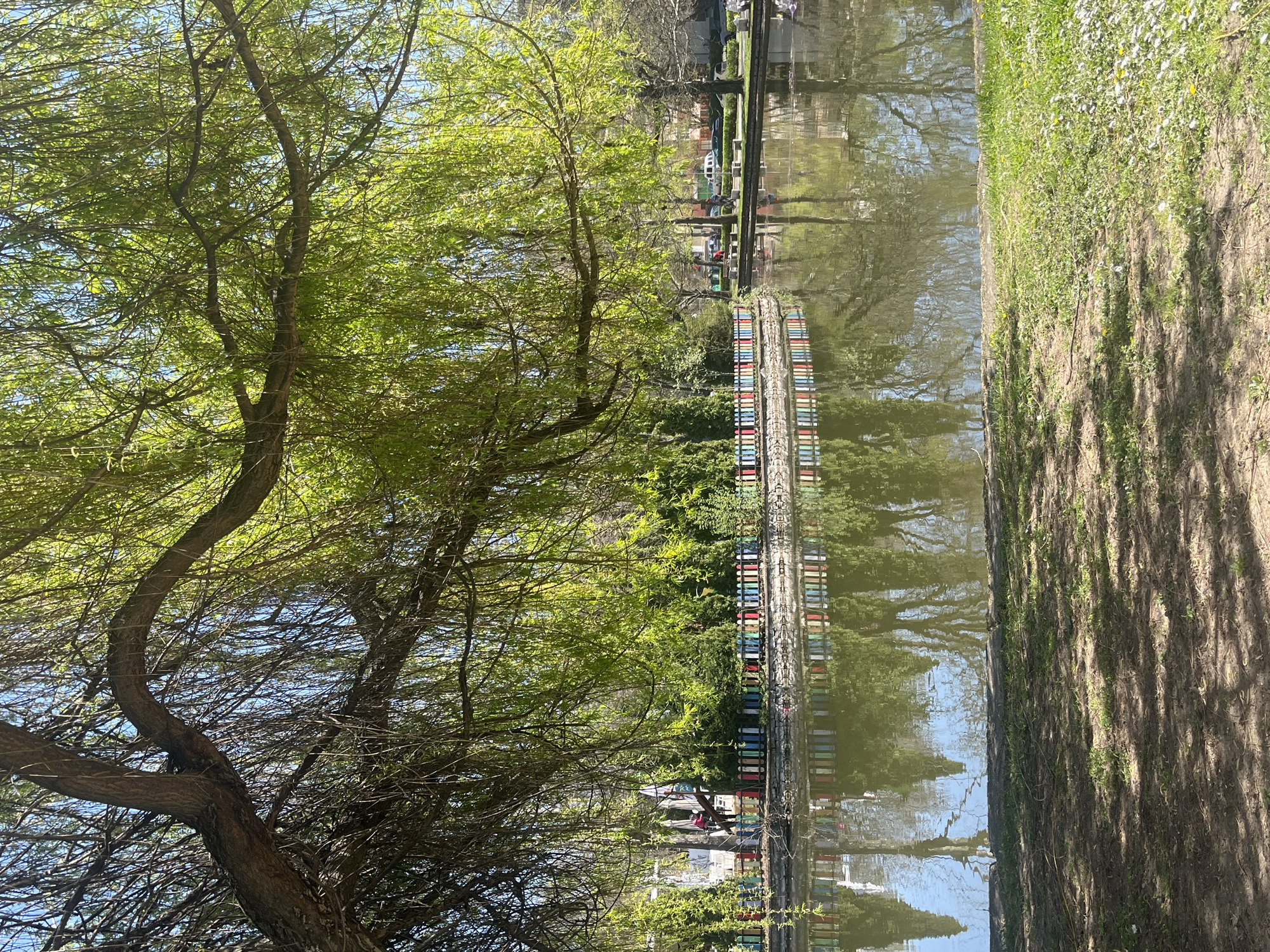 The image depicts a canal or waterway in Montana, Bulgaria. A line of colorful structures, possibly buildings or boats, is positioned along the canal's edge, with their reflections visible in the water. A tree with lush green foliage is present on the left side of the frame. The opposite bank features a grassy area and a path, marked by the shadows of trees. The scene is captured in daylight, with the sky visible through the branches of the trees. People can be seen walking alongside the canal.