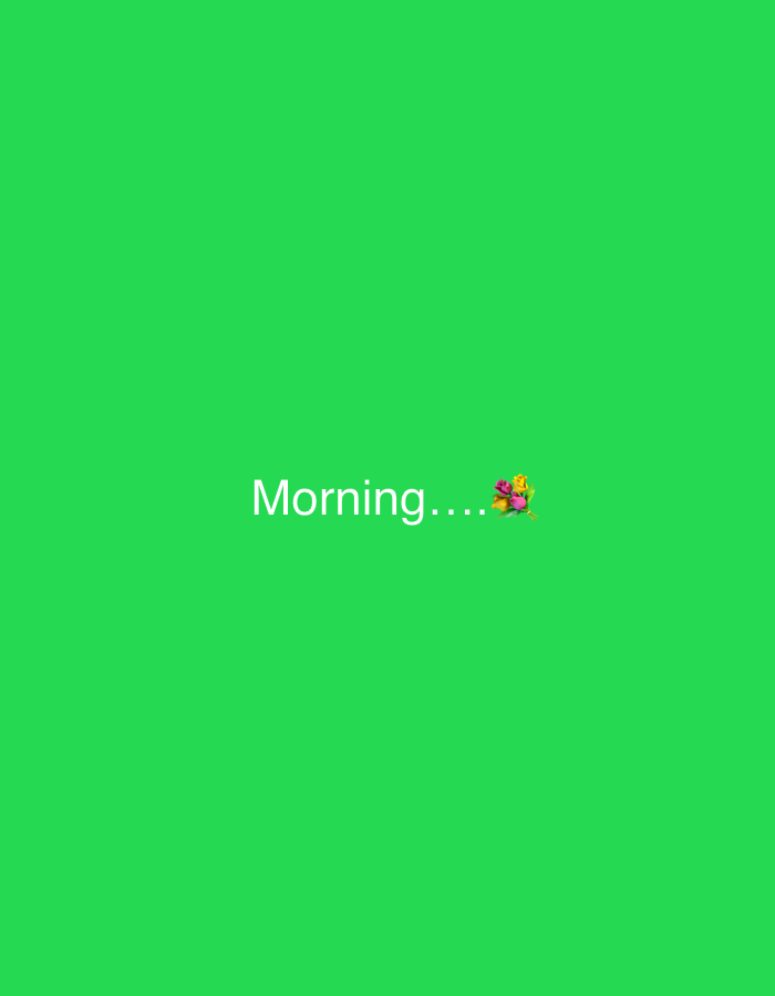 The image is a screenshot of a social media post or meme with a solid bright green background. In the center of the image, the word "Morning" is written in white, followed by four dots. To the right of the dots, there is a small cluster of colorful flowers, appearing as an emoji. The text and emoji are centrally aligned. There is no indication of the city of Kuala Pembuang, Indonesia, within the image itself.