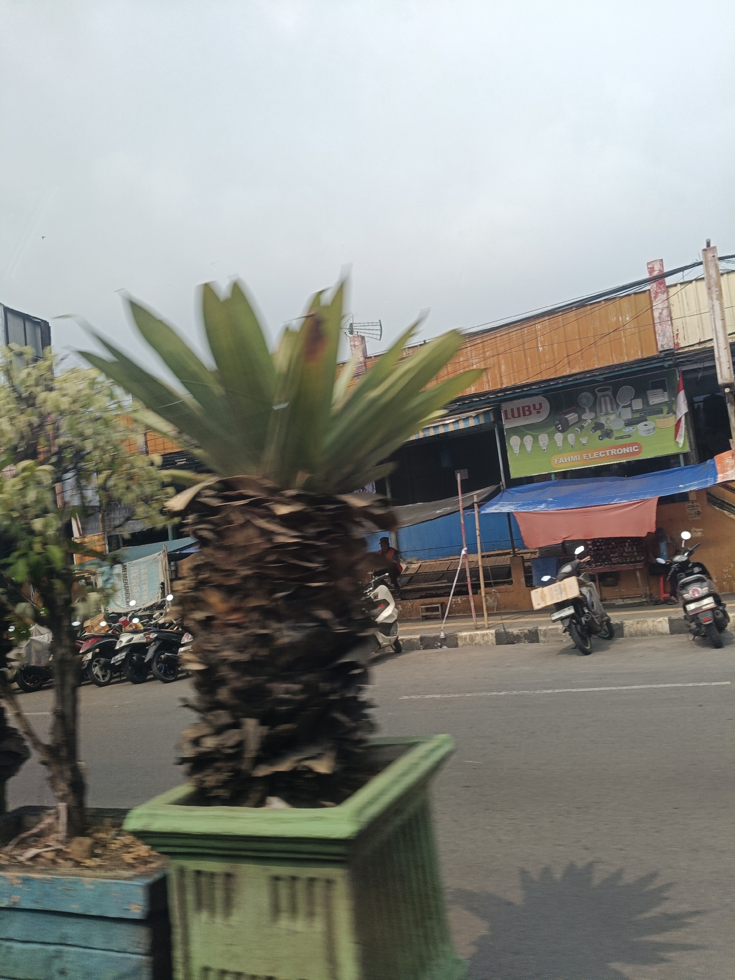 The image depicts a street scene in Pandeglang, Indonesia, likely a commercial area. In the foreground, a large potted palm-like plant dominates the left side, its textured trunk and green fronds visible. To its left, another potted plant with lighter foliage is partially obscured. Beyond these plants, a row of parked motorcycles, mostly scooters, lines the side of the road.
Behind the motorcycles, a building facade is visible with various structures and awnings. A prominent sign for "FAHMI ELECTRONIC" is displayed, featuring images of electronic devices like fans and light bulbs. A flag, possibly the Indonesian flag, is mounted to the right of the electronic store sign. The sky is overcast, suggesting a cloudy day. The road in front of the shops appears to be asphalt. The overall impression is that of a bustling, everyday street in a Southeast Asian city.