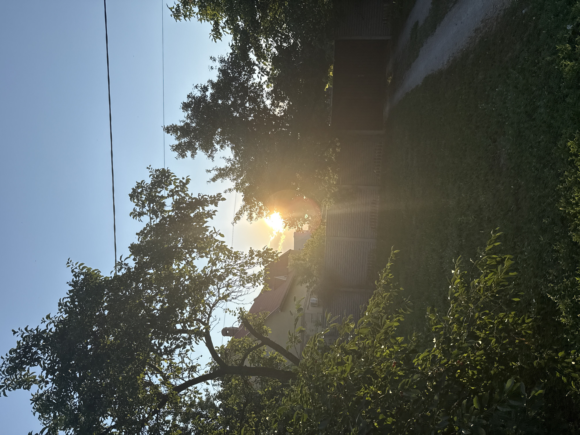 The image depicts a view of a residential area, possibly a backyard or side yard, bathed in the warm light of a setting sun. Lush green trees with dense foliage dominate the foreground and midground, with their leaves catching the golden rays of the sun, creating a dappled light effect. The sun itself is partially obscured by the trees, casting a bright, lens-flared glow across the scene.
In the background, a house with a red tiled roof is visible, partially shaded by the trees. A light-colored wall or fence, constructed from horizontal slats, runs across the middle ground, separating the grassy area from what appears to be a driveway. Further back, a dark wooden gate or garage entrance is seen, with a gravel path leading up to it. The sky is a clear, pale blue, typical of late afternoon or early evening. A thin black wire stretches horizontally across the upper part of the image, likely a utility line.
The scene conveys a peaceful, tranquil atmosphere, characteristic of a suburban or rural setting at dusk. There are no people or animals visible in the image, and no discernible activities taking place. The focus is on the interplay of light and shadow on the natural elements and the structures of the property. The style is that of a candid photograph, possibly taken with a mobile phone due to the quality and composition. The resolution is sufficient to discern details like the texture of the leaves, the roof tiles, and the construction of the fence. The overall impression is one of a quiet, everyday moment captured in the fading light of day.