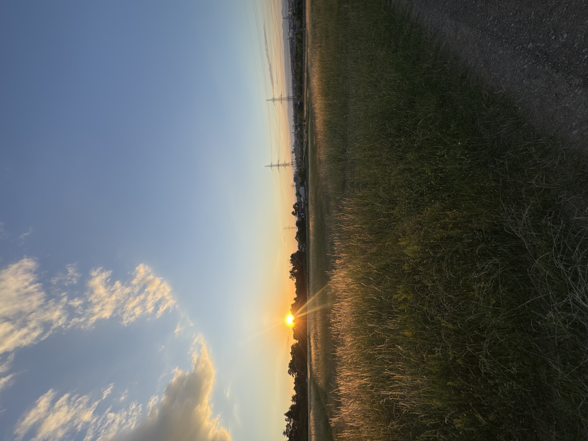 The image depicts a sunset over a field of tall grass, with trees and power lines visible in the distance. The sky is a clear blue with scattered clouds tinged orange and yellow by the setting sun. A dirt path runs along the right side of the frame, bordering the grassy field. The scene appears to be a rural or semi-rural area, possibly on the outskirts of a city. The lighting suggests it is late afternoon or early evening. There are no people or animals visible in the image. The overall impression is one of natural beauty and tranquility.