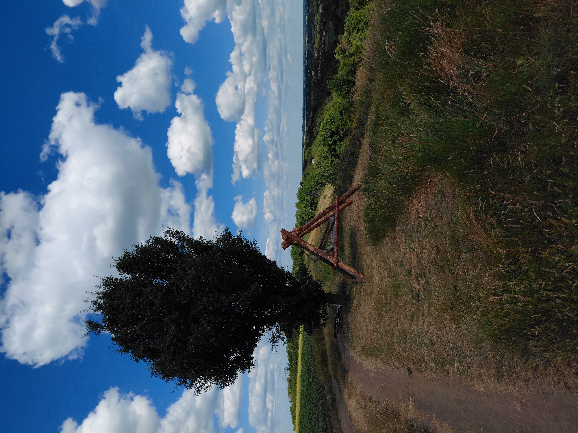 An outdoor, wide-angle, high-angle shot captures a scenic vista in Ustyvytsia, Ukraine, on a bright, partly cloudy day. In the foreground, a dirt path curves to the left, bordered by dry grass and foliage. To the right of the path, a dark-leaved tree stands tall, with a rustic wooden A-frame structure placed near its base. The A-frame is constructed from rough-hewn logs and leans against the slope. Beyond the tree and the A-frame, the land descends into a valley filled with lush green trees and vegetation. In the distance, the landscape stretches out to a hazy horizon under a vibrant blue sky dotted with puffy white clouds. A field of green crops is visible to the left of the path.