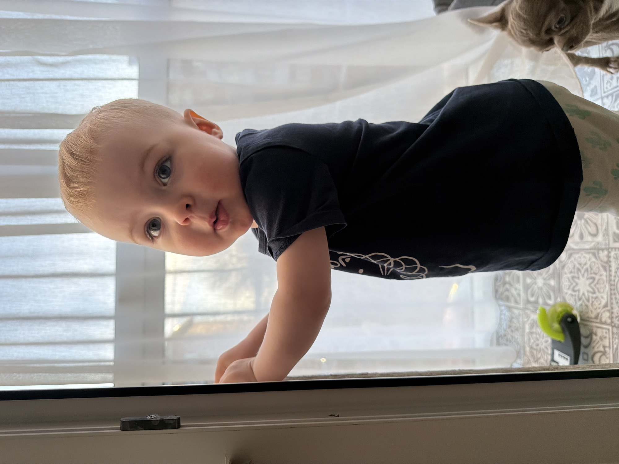 The image features a light-haired baby, likely a toddler, looking directly into the camera with wide, curious eyes and a slightly open mouth, showing the tip of their tongue. The baby wears a dark blue or black short-sleeved t-shirt with a white graphic design on the front and light-colored pants adorned with a subtle green cactus pattern. They are positioned indoors, leaning forward with their forearms resting on a white windowsill.
Behind the baby, a window with white horizontal blinds allows bright, diffused daylight into the room, indicating it is daytime. In the upper right portion of the background, a small, light-brown dog with pointy ears is visible, peering downwards. The surface next to the window, possibly a floor or mat, features a light-colored, patterned tile design. A dark-colored latch or lock mechanism is fixed on the windowsill in the foreground. A small, vibrant green object is also visible on the patterned surface near the window. The scene captures a moment of domestic activity and childhood curiosity in Votkinsk, Russia. No discernible text is visible on any objects.