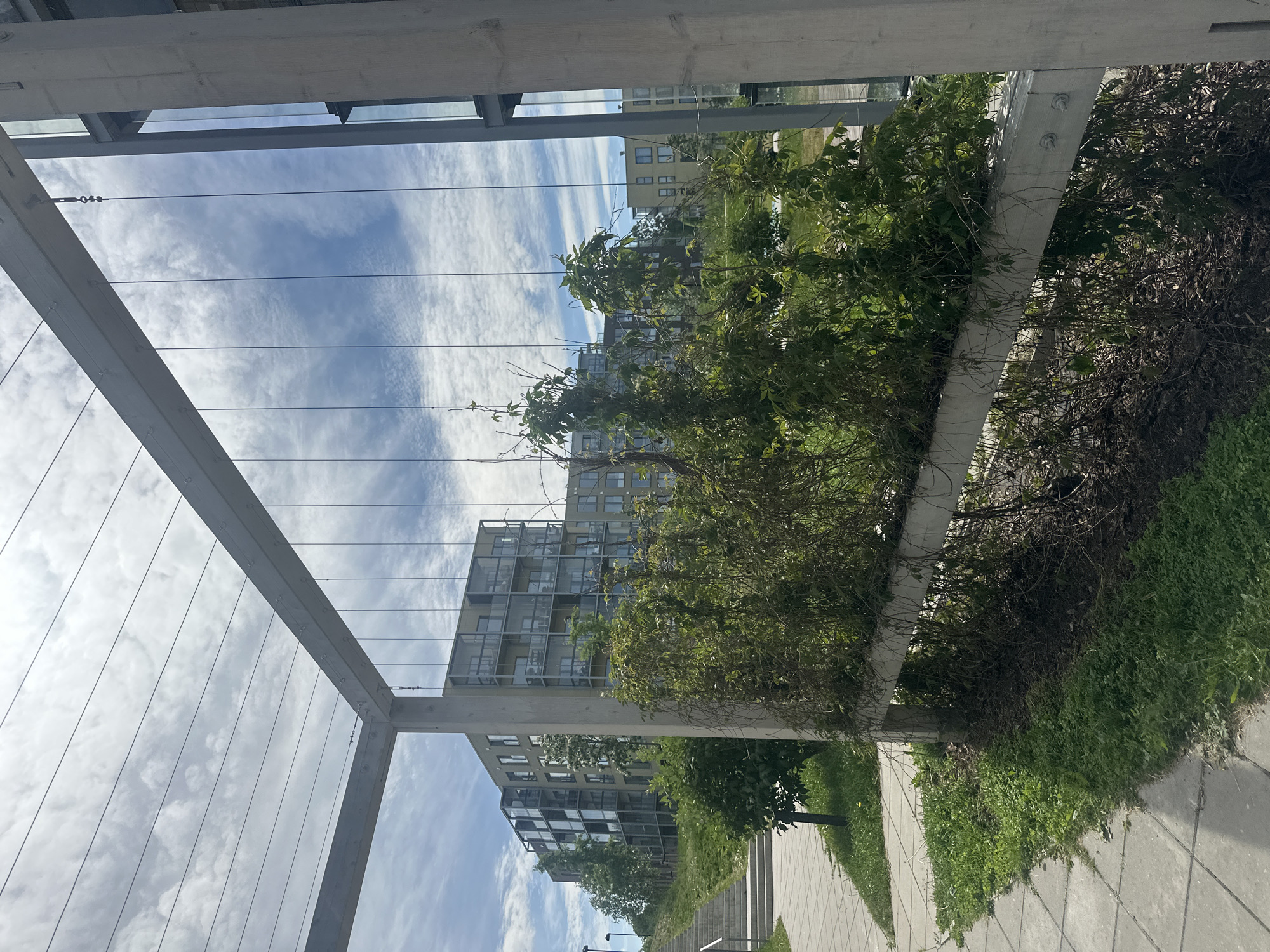 The image shows a modern residential building complex with a stepped approach and landscaped areas. The building is multi-story with balconies and glass facades. In the foreground, there is a pergola-like structure made of concrete and metal, with vines growing over it, some of which appear dried or dead. The sky is partly cloudy. The scene is set in a city environment, likely an urban development area. The architecture and style of the building suggest it could be located in the area of Lasnamäe, Tallinn, Estonia, specifically in a newer housing development. The image captures a section of the outdoor space with a focus on the interaction between the built environment and natural elements like the plants and sky.