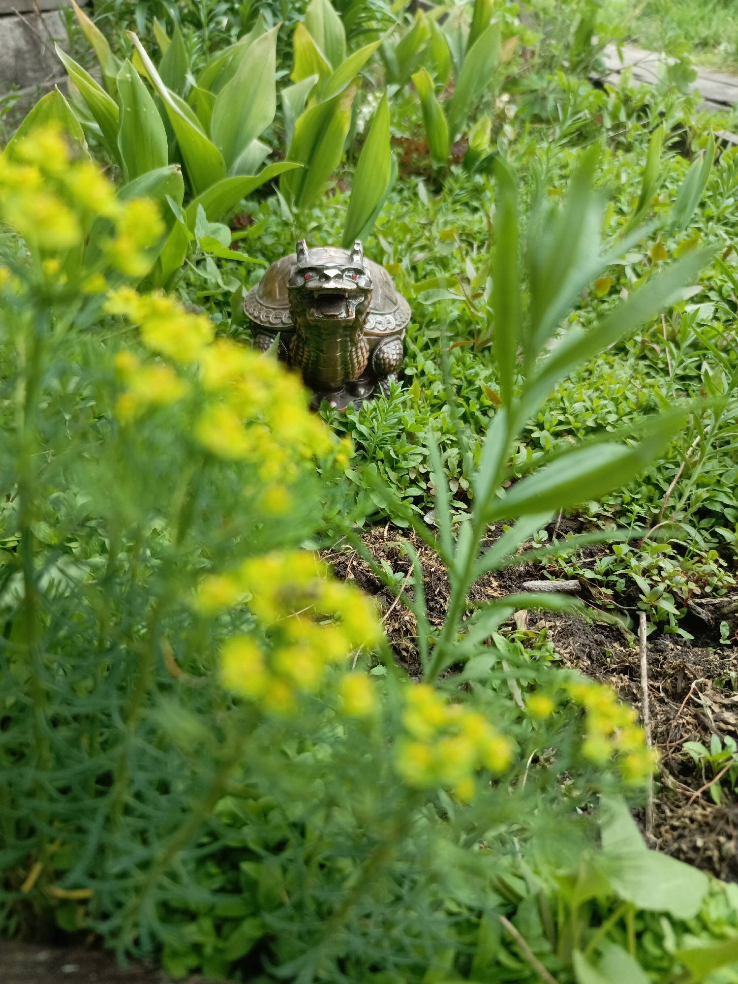 The image shows a garden scene in Zalesovo, Russia. A decorative bronze-colored turtle statue with a dragon-like head sits amongst lush green plants, including broad-leafed plants in the background, a groundcover, and a tall plant with narrow leaves to the right. In the foreground, a plant with small yellow flowers is blurred. The ground is dark soil. A wooden board is visible on the top right.