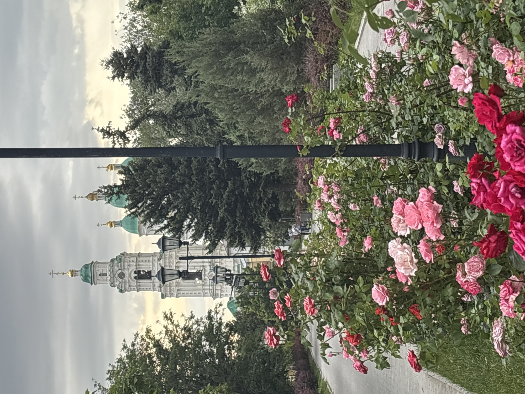 This image captures a park pathway in Astrakhan, Russia, with the Astrakhan Kremlin's Assumption Cathedral and its bell tower visible in the background.
The foreground is dominated by extensive rose bushes. These bushes display numerous blooms in shades of deep red, various pinks, and lighter blush tones, interspersed with green foliage. A black, ornate street lamp post stands prominently in the right foreground, partially obscured by the roses. A paved, light gray pathway runs along the left side of the frame, curving inward towards the background.
In the midground, the pathway continues, flanked by more rose bushes and lush green trees. Additional black street lamps are visible along the path, receding into the distance. Several indistinct human figures can be observed walking on the pathway in the mid-distance, near the left side of the path. Various green coniferous and deciduous trees form dense green backdrops and borders throughout the midground.
The background features the white, multi-tiered bell tower of the Assumption Cathedral, topped with a green dome and a golden cross. A clock face is visible on the upper section of the bell tower. To the right of the bell tower, additional green domes with golden crosses, belonging to the main cathedral structure, are partially visible through dense tree cover. The sky is overcast with gray clouds, though lighter patches suggest diffused sunlight. The environment is characterized by well-maintained greenery, including trimmed bushes and tall trees.