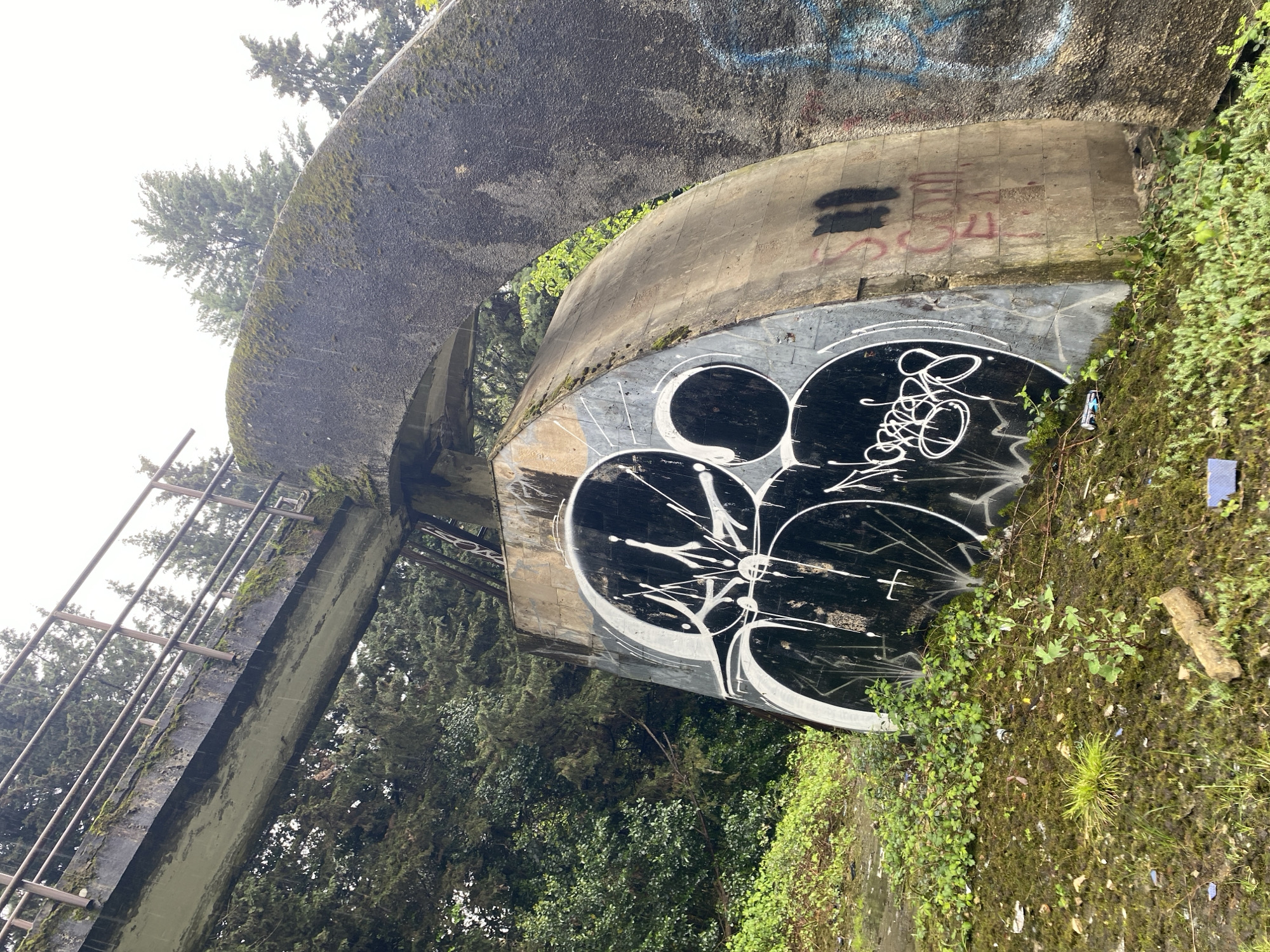 This image depicts a section of a concrete bobsled or luge track, likely part of a disused facility in Sochi, Russia. The track curves prominently, with its high walls showcasing extensive green moss and other vegetation clinging to the concrete surfaces. Dense evergreen trees flank and surround the structure, suggesting nature is slowly reclaiming the man-made construction.
The sky is overcast, providing soft, diffused lighting with no harsh shadows, indicating a cloudy day. A significant portion of the track's lower wall is covered in bold graffiti. The most prominent is a large, black painted section featuring intricate white abstract designs and stylized letters or tags. Above this, on a lighter concrete surface, faint red graffiti is visible, possibly spelling "SOU," along with two distinct horizontal black spray-painted lines. Higher up on the grey concrete, subtle blue and other colored graffiti marks can also be discerned.
Along the upper edge of the track, a metal railing or ladder-like structure runs parallel to the curve, likely for access or maintenance. There are no people visible, and no active events are taking place, reinforcing the sense of abandonment and the passage of time. The concrete itself shows signs of weathering and neglect.