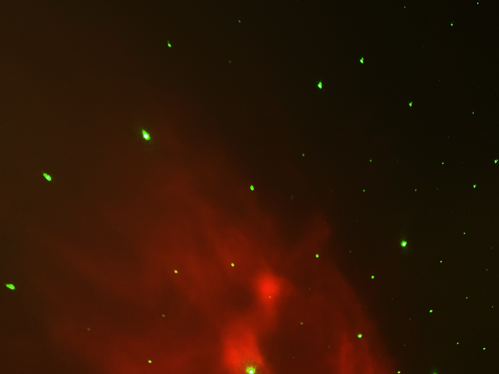 The image depicts a dark environment with a reddish-brown hue dominating the lower half, transitioning to darker shades towards the top. There are numerous small, scattered green points of light appearing throughout the scene, resembling stars or particles. The lower portion of the image has a hazy, indistinct quality, suggesting smoke, fog, or blurred light sources.
Given the lack of definitive visual details, it's impossible to pinpoint an exact location in Votkinsk, Russia or identify any specific people, objects, or interactions.