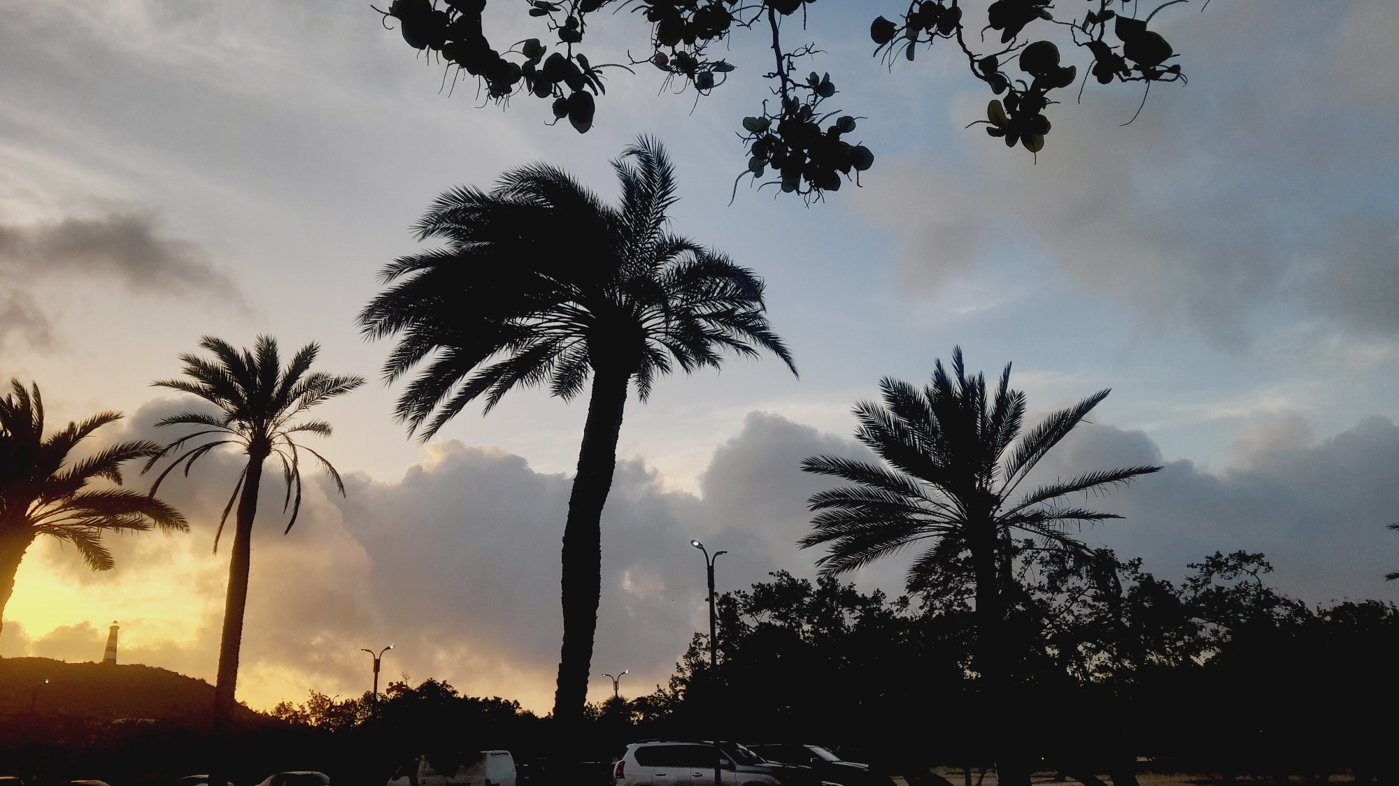 The image depicts a silhouetted landscape of palm trees against a cloudy sky, likely during either sunrise or sunset, as indicated by the warm glow on the left side of the frame. In the distance, a lighthouse stands on a hill. A line of trees and parked vehicles are visible in the foreground, also in silhouette. The overall scene is characteristic of a coastal or tropical environment. The image does not provide specific details that would allow for the definitive identification of the city of Pedro González, Venezuela, although the presence of palm trees and a lighthouse could be consistent with locations in that region.