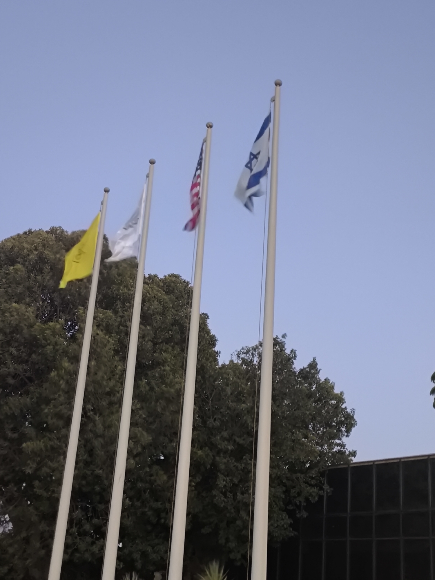 Four flagpoles stand vertically against a clear blue sky. The leftmost flagpole displays a yellow flag with a symbol on it. Next to it, a white flag flies. The third flagpole features the American flag. The rightmost flagpole displays the Israeli flag. Behind the flagpoles, lush green trees fill the background, and a dark building with a grid-like pattern on its facade is visible to the right. The scene appears to be an outdoor setting in the city of Dimona, Israel.