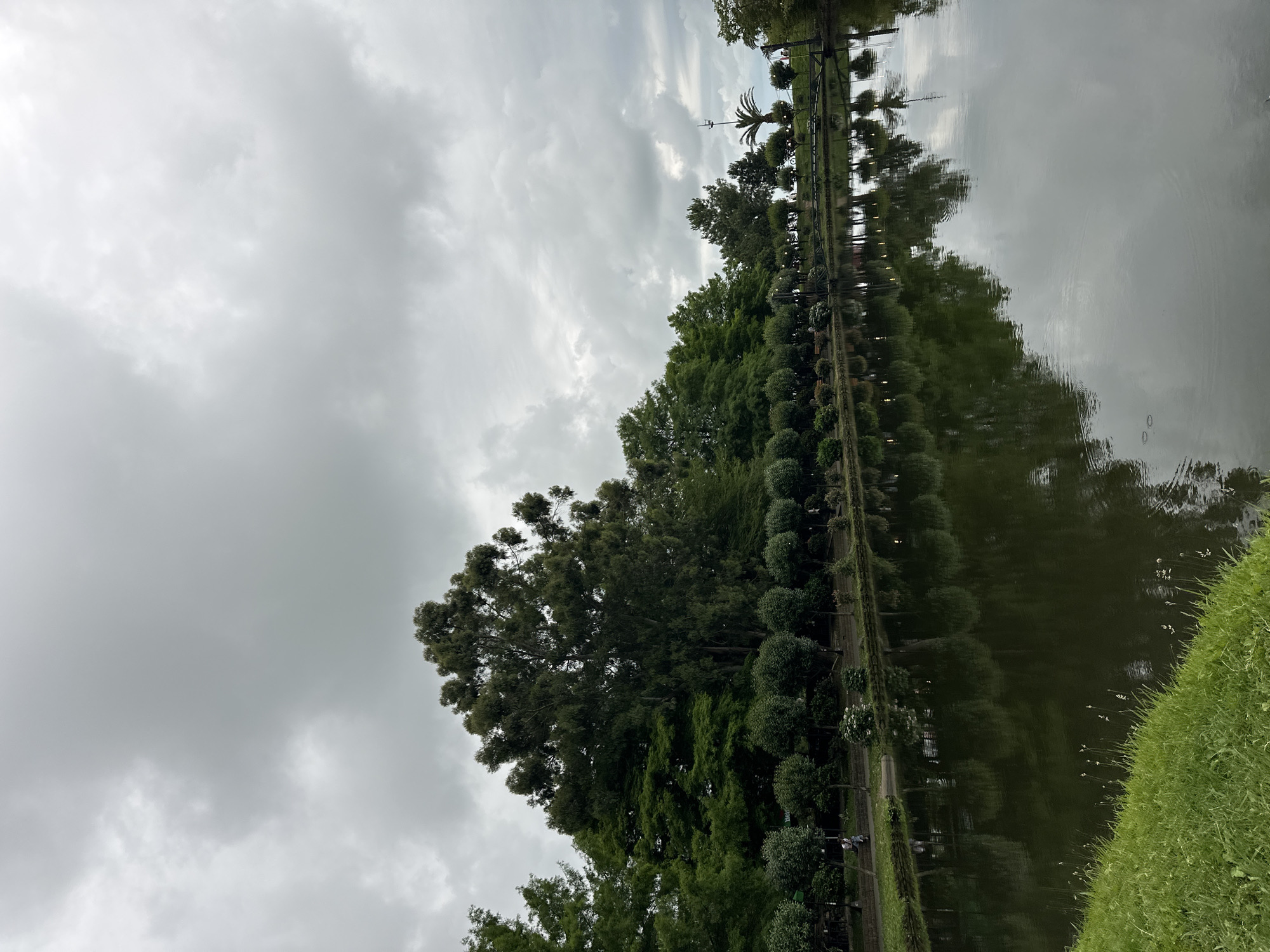 A calm lake reflects a row of trees and a cloudy sky in Batumi, Georgia. The trees are mostly deciduous, with a few evergreens, and are trimmed into various shapes, including spheres and cones. Some of the trees are very tall, with a broad canopy, while others are shorter and more uniform. The lake is dark and still, with a few ripples on the surface. The sky is overcast with gray clouds, creating a diffused light. There are some lights visible along the treeline, suggesting the presence of a path or promenade. In the distance, a small bridge crosses the lake. There are a few people walking along the path, and some are seated on benches. The overall impression is one of a tranquil, well-maintained park setting.