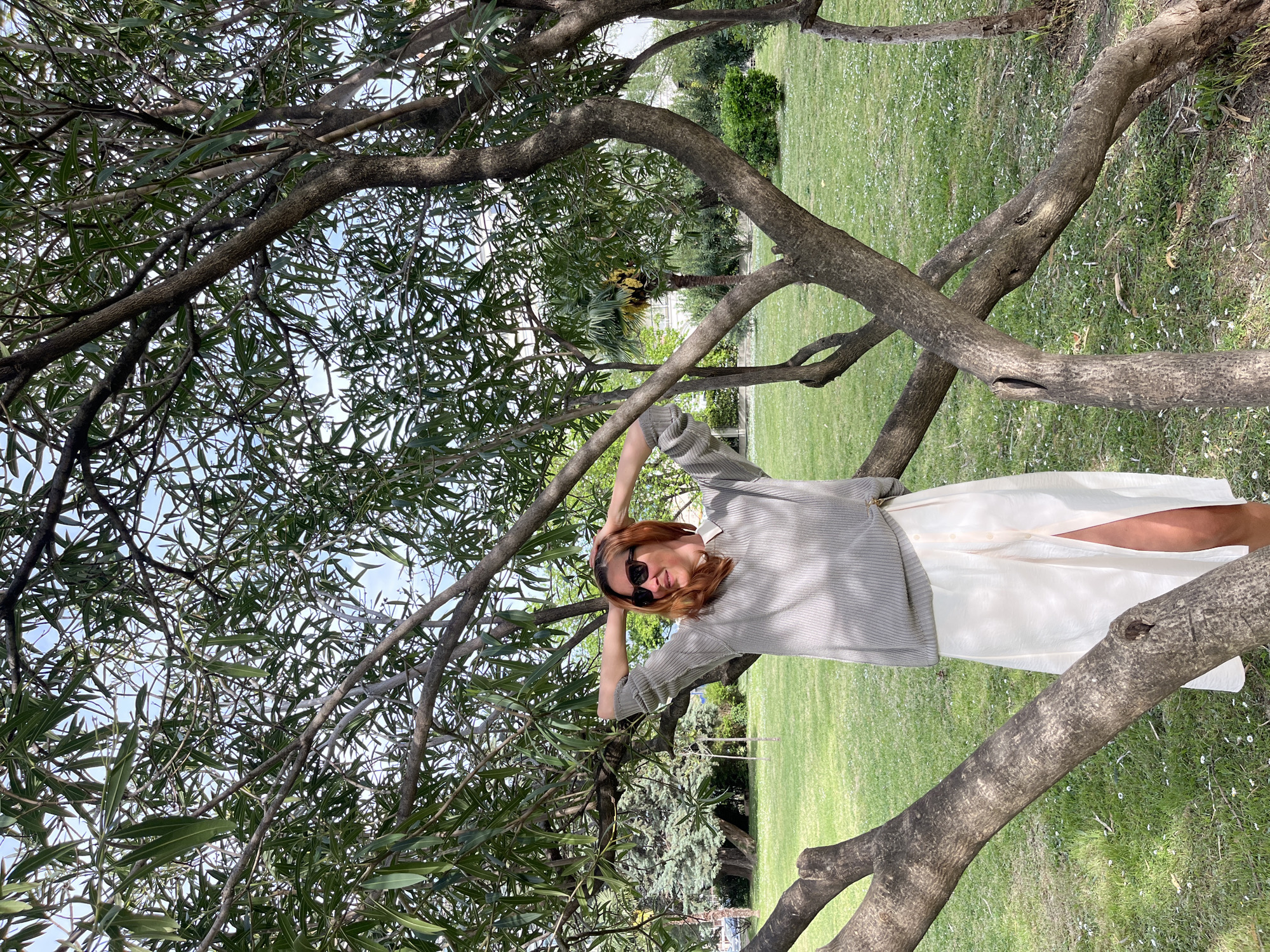 A woman wearing sunglasses, a striped gray sweater, and a white skirt stands among the branches of a tree in a park-like setting. She has her hands behind her head and is looking at the camera. The tree has numerous branches with green leaves, partially obscuring the sky. Behind the tree, there is a green lawn and other trees and shrubbery. The city of Budva, Montenegro, is not definitively identifiable from the image.
