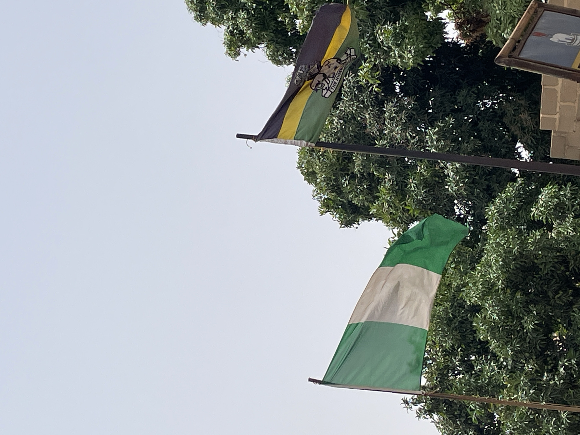 The image captures two flags waving against a backdrop of lush, green trees and a pale, clear sky. The lower flag features three horizontal bands of green, white, and green, which identifies the flag of Nigeria. Above it, there is a black, yellow, and green flag emblazoned with an emblem, which indicates it is the flag of a specific organization or group. The location is speculated to be in Jos, Nigeria.