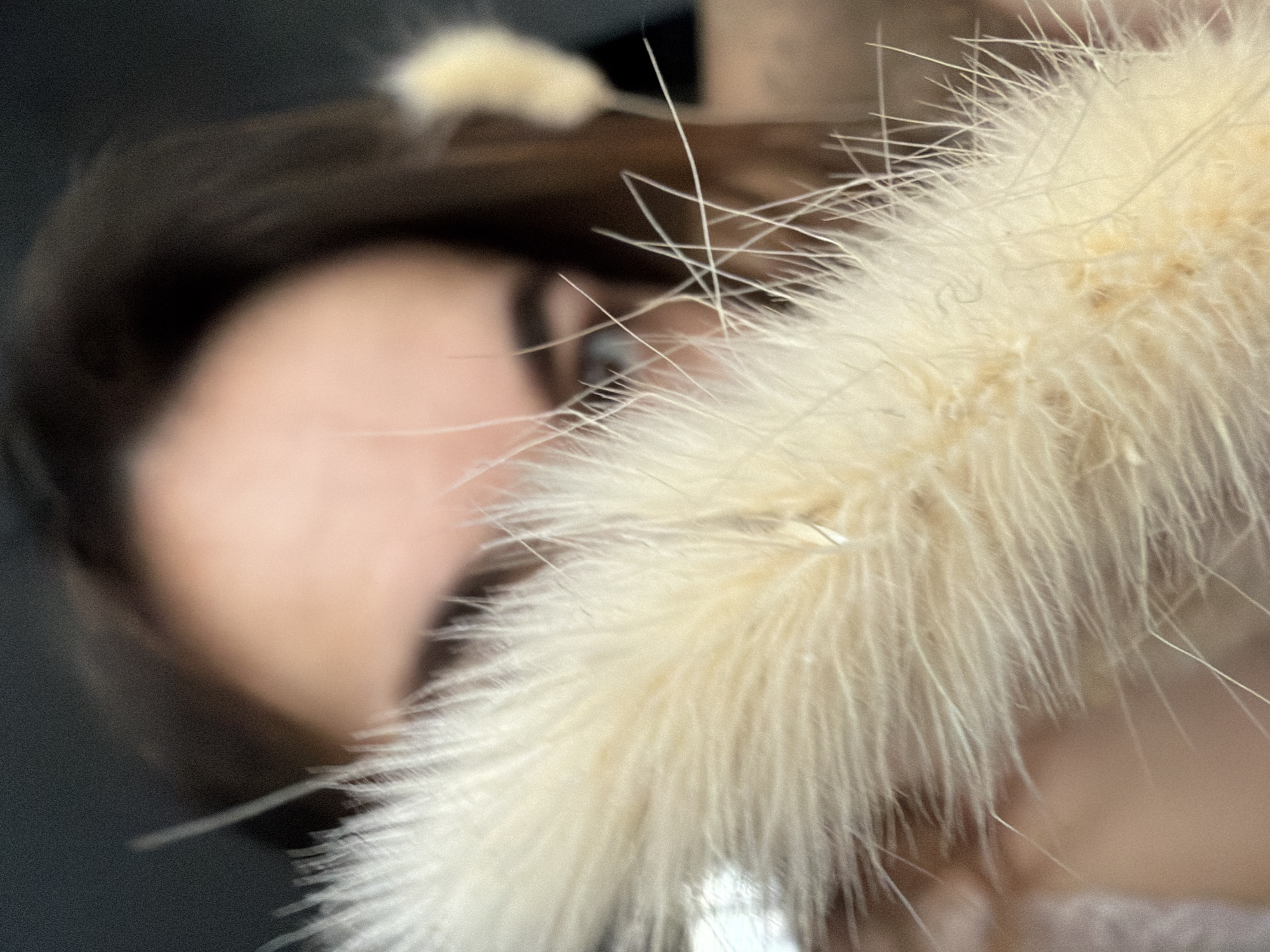 The image shows a blurred face partially obscured by a bouquet of bunny tail grass. The person has dark hair and a light skin tone. One eye is visible, with dark eyeliner. The background is out of focus and appears to be a dark gray or black color. There is insufficient information to determine if the photo was taken in Izhevsk, Russia.