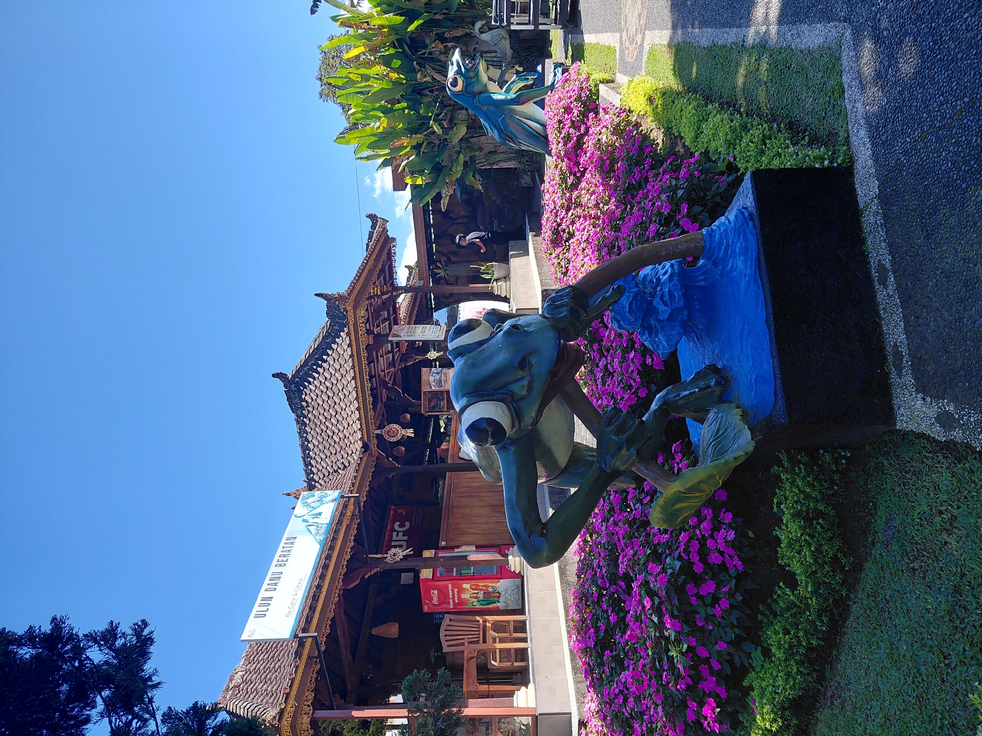 This image depicts the entrance area of Ulun Danu Beratan Temple in Baturiti, Bali, Indonesia. The foreground features two large, stylized frog sculptures positioned in a flower bed filled with vibrant pink impatiens. The frog on the left is dark green and appears to be lunging forward, while the one on the right is teal blue and is in a more upright stance. Behind the flowers, a traditional Balinese building with a tiled roof and intricate woodwork serves as the entrance. A sign above the building reads "ULUN DANU BERATAN". A red Coca-Cola refrigerator is visible inside the building, along with tables and chairs. A person in a dark shirt and hat is standing on a raised platform to the right of the building, looking towards the entrance. The sky is a clear, bright blue, and lush green vegetation, including large-leafed plants, surrounds the area. The ground is a mix of grass and a paved pathway made of small, dark stones.