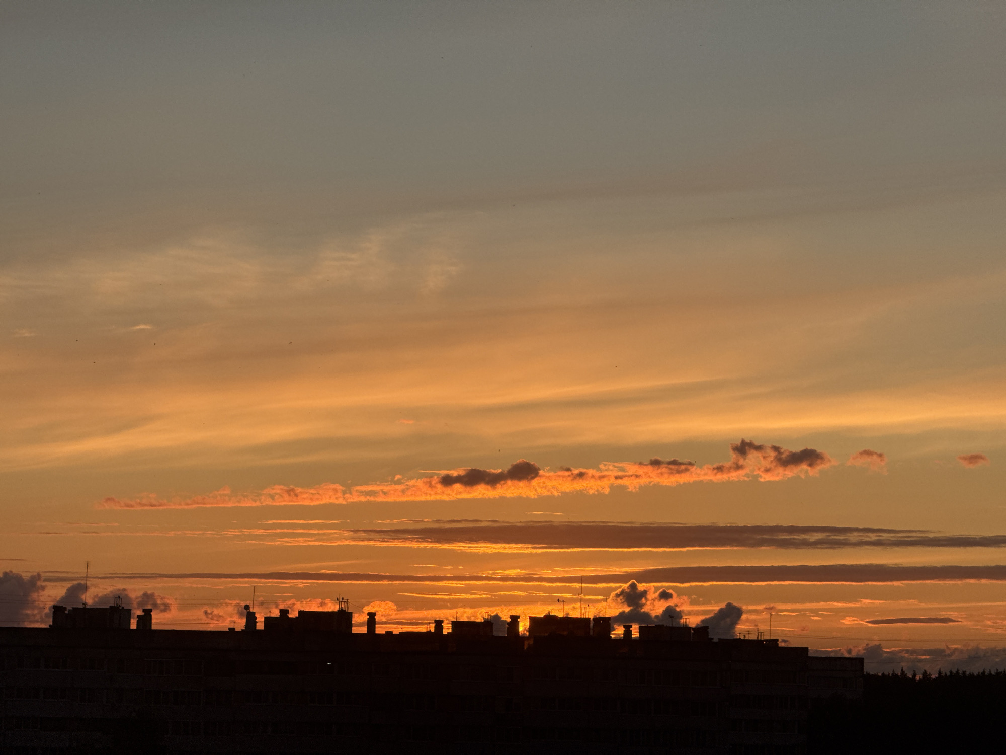 The image depicts a silhouetted view of buildings in Sosnoviy Bor, Russia, against a vibrant sunset sky. The sky transitions from a pale blue-grey at the top to a warm orange and yellow near the horizon, with layered clouds illuminated by the setting sun. Several structures, likely apartment buildings or similar multi-story constructions, are visible in silhouette along the bottom portion of the frame. Small dark specks, potentially birds, are scattered across the sky. The overall scene captures a moment of twilight over an urban landscape.