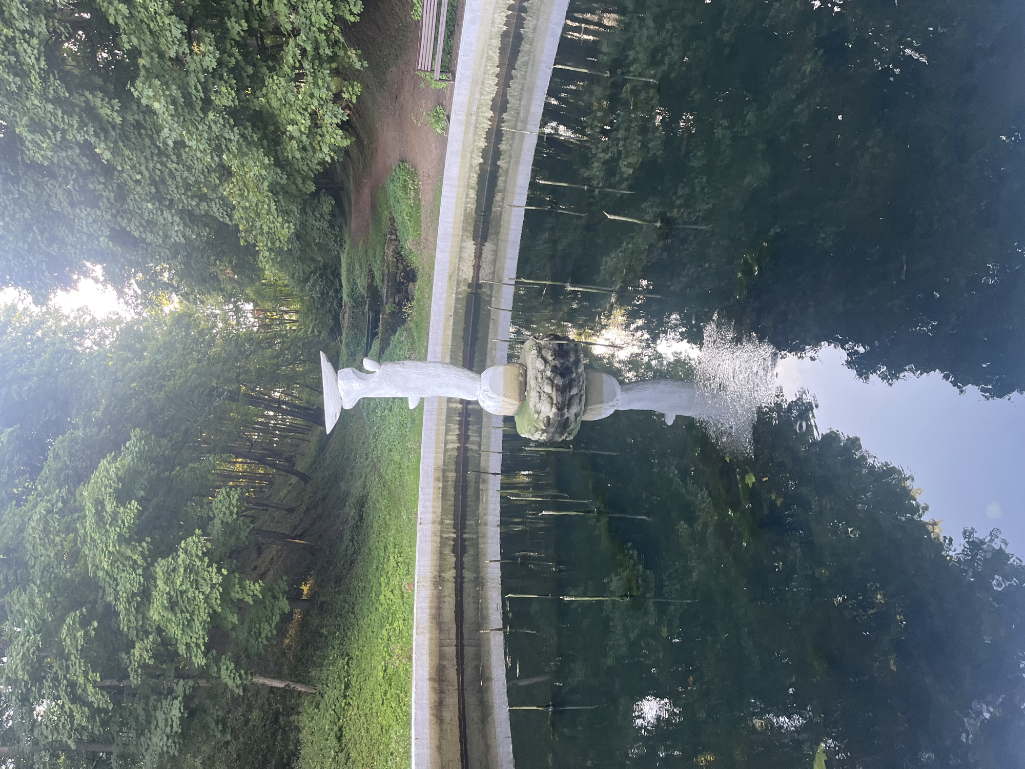 The image depicts a fountain in a park located in Lahojsk, Belarus. The fountain, made of white stone, is situated in the center of a circular pool filled with dark water. The water reflects the surrounding lush greenery and the sky, creating an ethereal atmosphere. Several thin, vertical wooden posts are submerged in the water, extending upwards from the bottom of the pool.
The pool is surrounded by a concrete rim, which in turn is bordered by a grassy area and a densely wooded slope. The trees are tall and mature, with thick green foliage that casts dappled shadows on the ground. A narrow, unpaved path winds through the trees on the right side of the image, and a wooden park bench is visible in the distance, suggesting a tranquil recreational space. The overall impression is one of natural beauty and peacefulness, characteristic of a park setting. The lighting suggests it is late afternoon or early morning, with soft sunlight filtering through the trees.