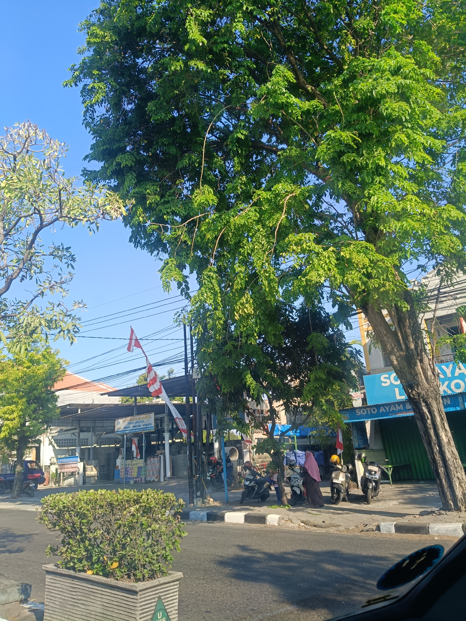 In the city of Klangonan, Indonesia, a street scene unfolds under a clear blue sky. A large tree with lush green foliage dominates the right side of the frame, its branches extending towards the viewer. To the left, another tree with lighter green leaves and bare branches is visible. In the background, several buildings line the street. A prominent blue awning with white lettering reads "SOYO AYAM & KOT" indicating a food establishment. A flag with red and white stripes is displayed. Several motorcycles are parked on the sidewalk, with some individuals standing near them. A person wearing a pink hijab and a dark garment is among the group. A rectangular planter with green shrubs is positioned on the left side of the road. The overall impression is a typical street view in a residential or commercial area.