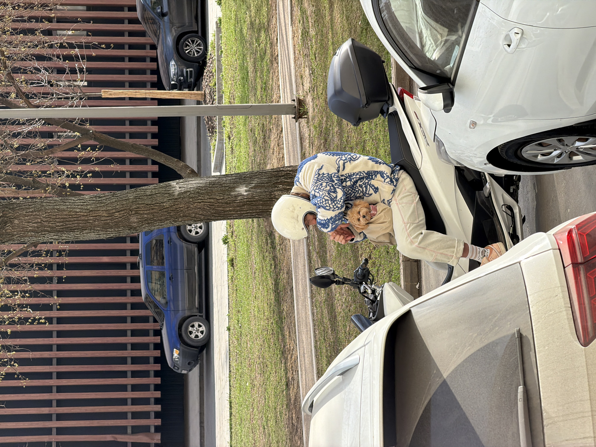 A person wearing a white helmet and light-colored clothing is sitting on a white scooter holding a small dog. The scooter is parked on the side of a street next to a row of parked cars, including a white car to the right of the scooter, a gray car further to the right, a dark gray car across the street, and a blue car further to the left. A tree trunk is visible in the foreground between the scooter and the blue car. In the background, there is a building with horizontal brown slats. The scene is a city street. I cannot tell that it is in the city of Moscow, Russia.