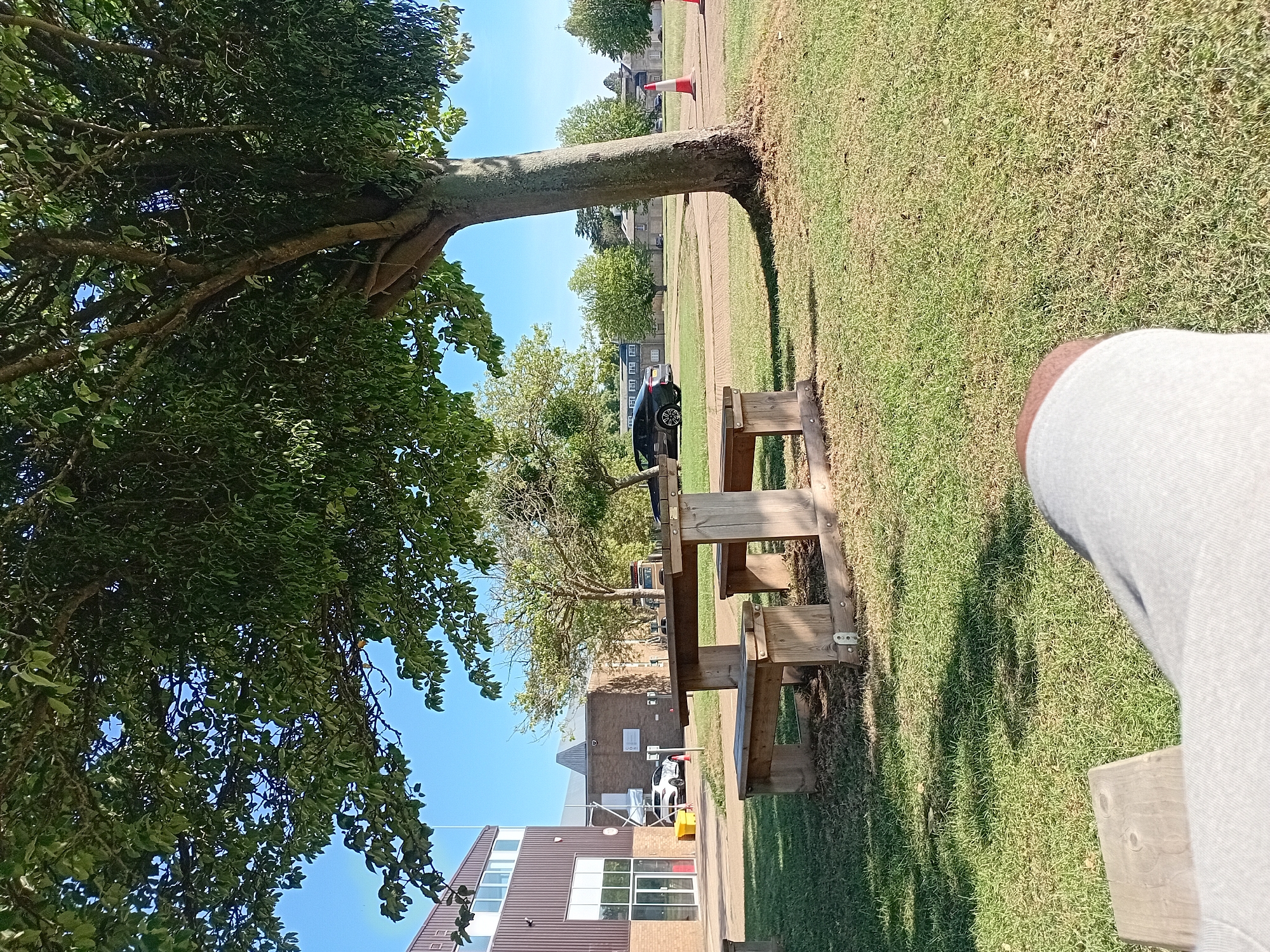 The image depicts an outdoor scene on a sunny day, with a focus on a wooden picnic table and benches situated on a grassy lawn under the shade of a large tree. In the background, a modern building with a brown facade and large windows is visible, along with other structures and trees. A black car and a white car are parked in the distance. Orange and white traffic cones are placed on the ground in the far background. The foreground shows a person's legs and lap, suggesting the viewer is seated and looking at the scene. The location is identified as Silsoe, United Kingdom. The overall environment is natural and somewhat institutional, with elements of recreation and architecture.