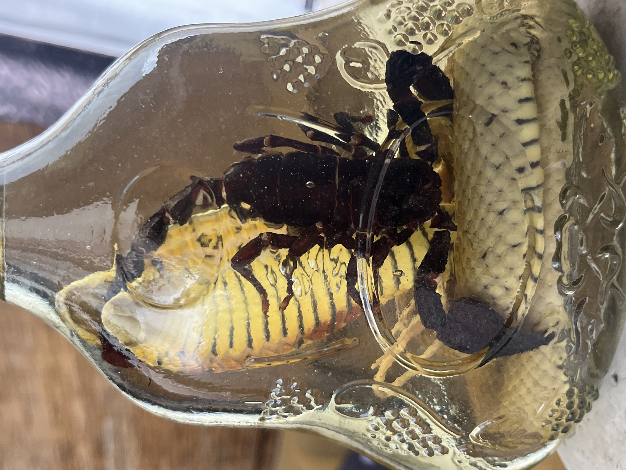 A dark brown scorpion is preserved in a glass bottle filled with a yellow liquid, positioned on top of a coiled yellow and black striped snake. The bottle has decorative textured glass around its base and neck. The background is blurred, showing a wooden surface and a lighter vertical element, possibly a wall or curtain. The scene is brightly lit, suggesting an indoor setting. There are no people or interactions visible. This image is not located in Moscow, Russia.