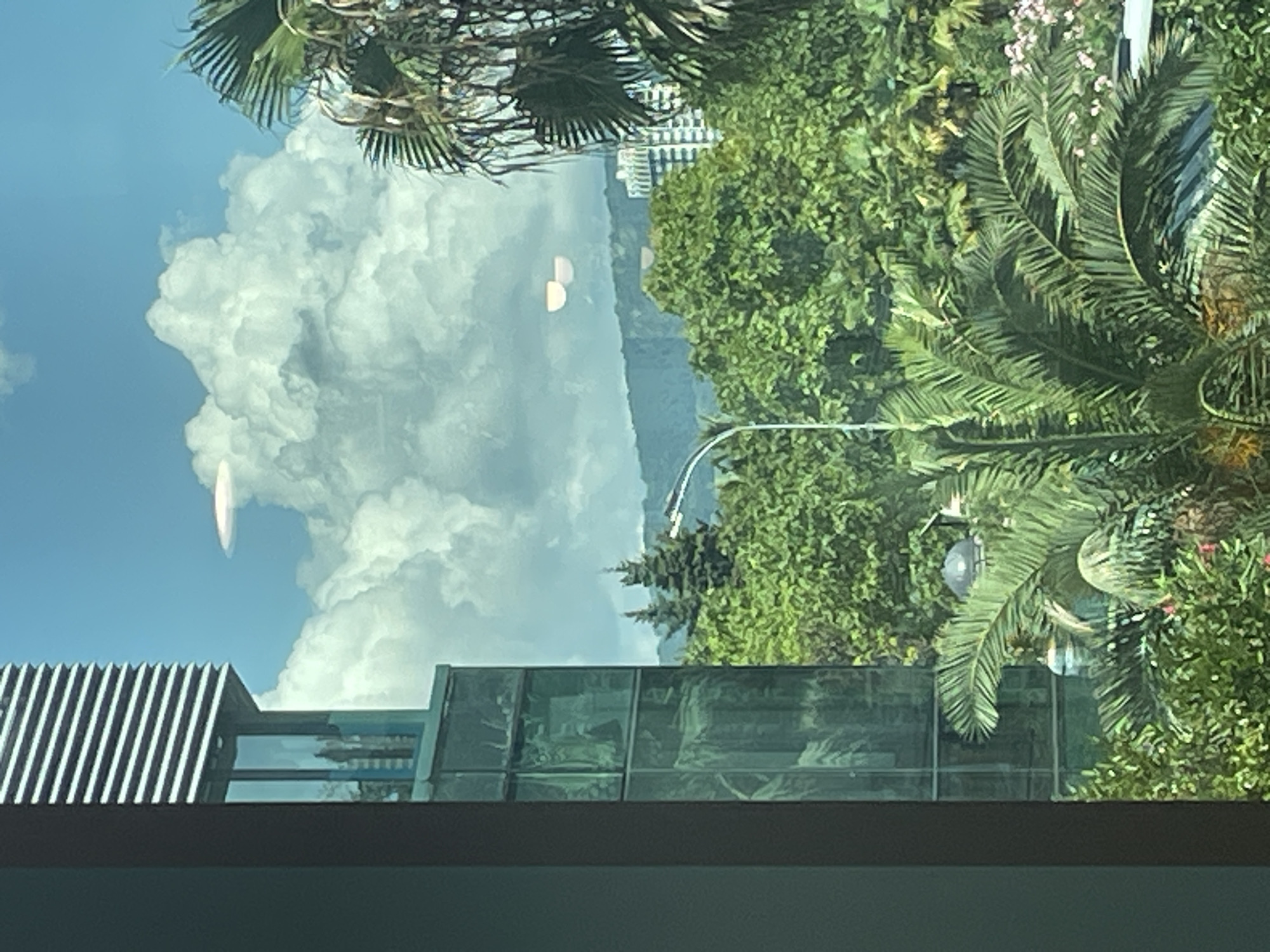 The image shows a view through a window in Sochi, Russia, overlooking a lush green landscape with a modern building. On the left, a dark-framed building with horizontal louvers and reflective glass windows dominates the foreground. Through the glass, reflections of trees and possibly other buildings are visible.
In the middle ground, a dense canopy of green trees, including palm trees, fills the frame. Two distinct conical evergreen trees stand out among the foliage. A tall, slender streetlight with a curved top is also present in this area.
In the background, rolling hills covered in greenery recede into the distance. A tall, modern white building with many windows is visible on the right side of the background, suggesting a more urbanized area beyond the immediate greenery.
The sky is bright blue with large, puffy white cumulus clouds. There are two distinct, light-colored circular or oval shapes in the sky, possibly lens flares or reflections. Another similar shape is visible lower in the sky, towards the right. The scene suggests a sunny day in a coastal or sub-tropical environment, consistent with Sochi. There are no people or specific activities depicted. The overall impression is one of a scenic view from a modern building in a green, somewhat mountainous region.