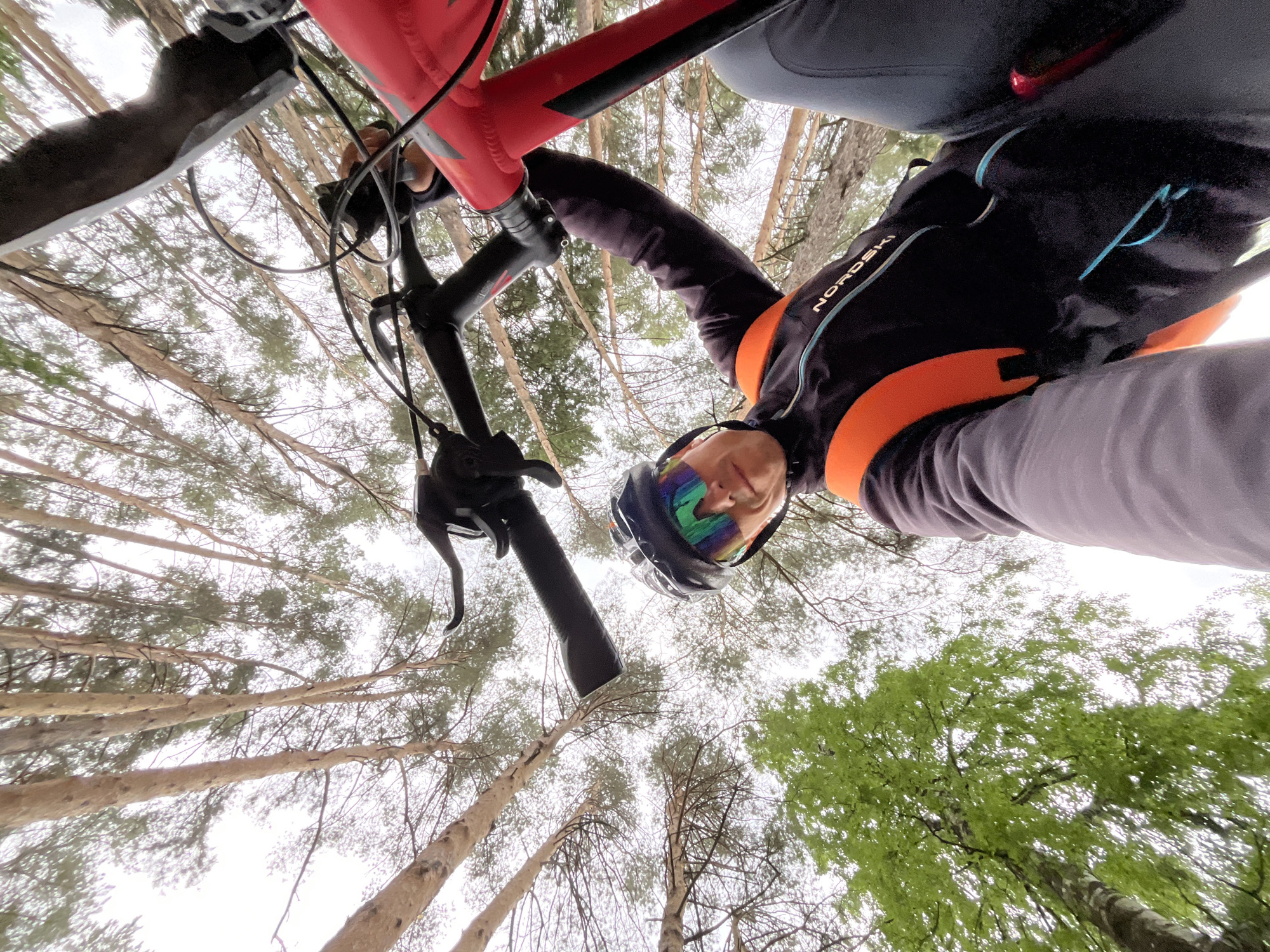 This image, captured in Chaikovsky, Russia, presents a low-angle, wide-angle view of a person cycling through a forest. The central subject is a person, likely male, looking down towards the camera with a subtle smile. They are equipped with a black cycling helmet featuring striking, multi-colored reflective goggles. Their attire includes a black and orange cycling jacket, with the brand "NORDSKI" visible in white text, and grey trousers.
The foreground is dominated by parts of a red bicycle frame and black handlebars, complete with brake levers and cables, indicating the person is actively riding or paused on their bike. The perspective places the viewer beneath the cyclist, looking upwards.
The background showcases a dense forest environment with numerous tall trees reaching towards an overcast, light grey sky. Many trees, especially towards the left and center, appear to be coniferous with sparse needles or bare branches, suggesting a cooler climate or early season. On the right side, a section of trees with vibrant, fresh green leaves adds a contrasting splash of color. The sky indicates cloudy weather during daytime. The overall scene conveys an outdoor recreational activity, likely mountain biking or trail riding, in a natural setting.
