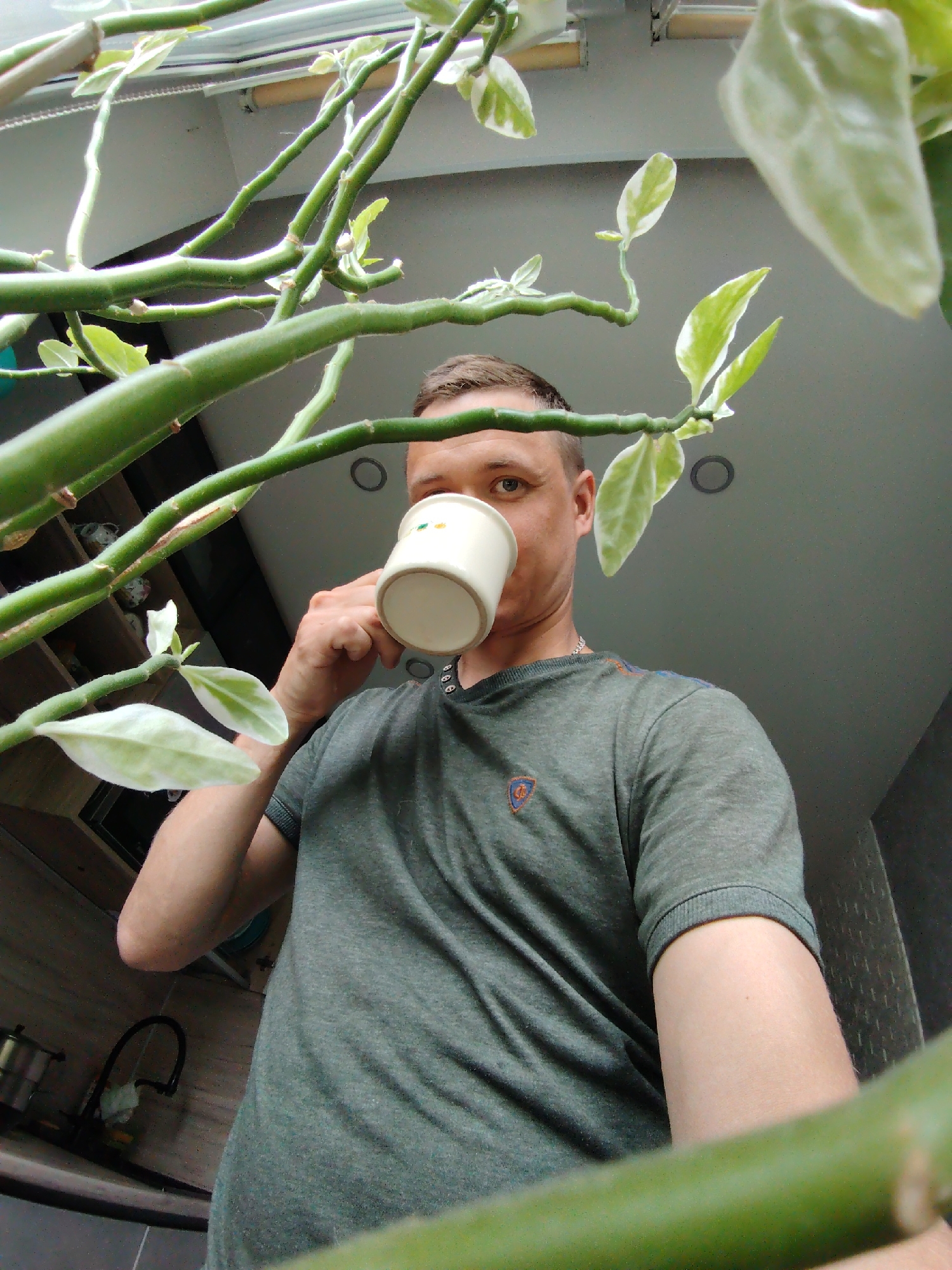 A man is holding a white mug to his lips, presumably drinking from it. He is wearing a grey t-shirt with a small emblem on the left chest. The background is somewhat obscured by green, leafy branches, suggesting he might be near or surrounded by plants. The location appears to be indoors, possibly in a kitchen, as indicated by the presence of a sink and cabinetry in the lower left corner. The lighting is diffused, and the perspective is from a low angle, looking upwards. The city of Chaikovsky, Russia, cannot be confirmed based on the image alone. No other people are visible.