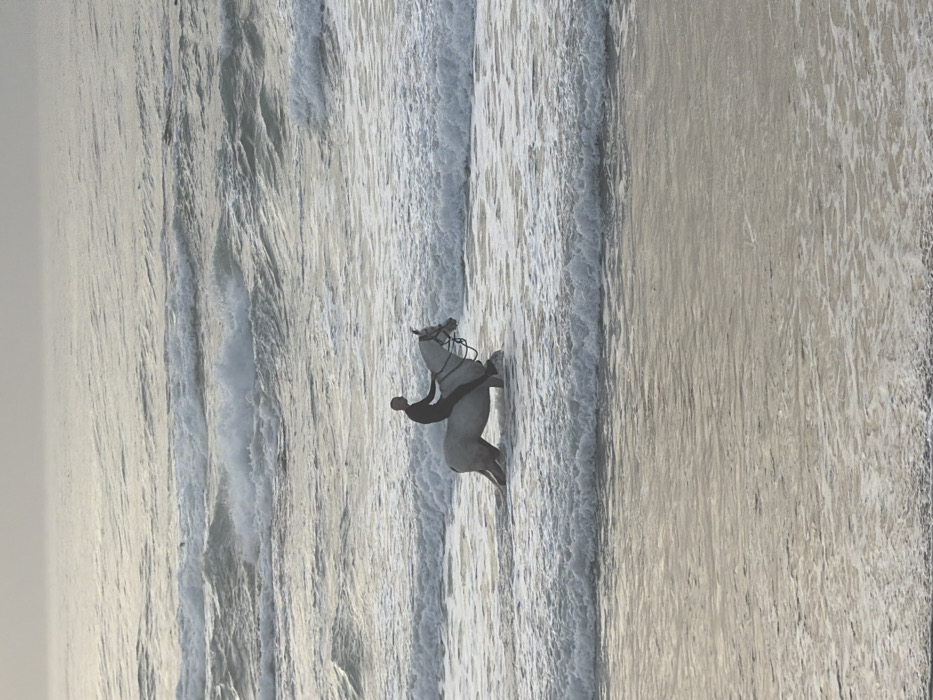 The image, when viewed in its correct orientation, displays a tranquil beach scene featuring the ocean and a stretch of sand, with a small animal figurine positioned near the water's edge.
On the left side of the image, the ocean is visible with multiple white-capped waves breaking and rolling towards the shore. The water appears in shades of light blue and grey, with abundant white foam from the turbulent waves creating horizontal patterns across the surface.
On the right side, a wide expanse of light brown to beige sand extends. The sand shows texture, possibly from the receding tide or wind patterns, leading up to drier areas further away from the water.
A small, light-colored figurine is placed on the wet sand, close to where the waves break. This figurine resembles an animal, possibly a horse or a reindeer (though without visible antlers), and is equipped with a distinct dark harness or saddle-like accessory draped over its back. The figurine is facing towards the ocean, appearing to gaze out at the incoming waves.
The overall lighting in the image is soft and diffused, indicating either an overcast day or a time of day with indirect sunlight, as evidenced by the lack of strong shadows. The sky, partially visible at the far left, is a light, almost white-grey color, blending subtly with the water's horizon. There is no visible text in the image.