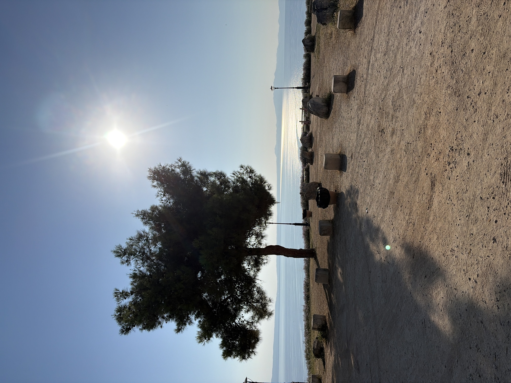 This image captures a serene view from a coastal area in the Kassandra Municipal Unit, Greece. The foreground consists of a dirt path with several light-colored square concrete bollards and larger rocks scattered around. A large, mature pine tree stands prominently on the left, casting a shadow across the ground. In the mid-ground, the calm sea stretches out towards the horizon, reflecting the bright sunlight. Several tall, dark lampposts are visible along the coastline, and a bench can be seen further back. The background features a distant mountain range under a clear blue sky, with the sun high and bright, creating a lens flare. The overall scene conveys a peaceful, natural environment, likely a park or viewpoint overlooking the sea. There are no people or animals visible in the frame.