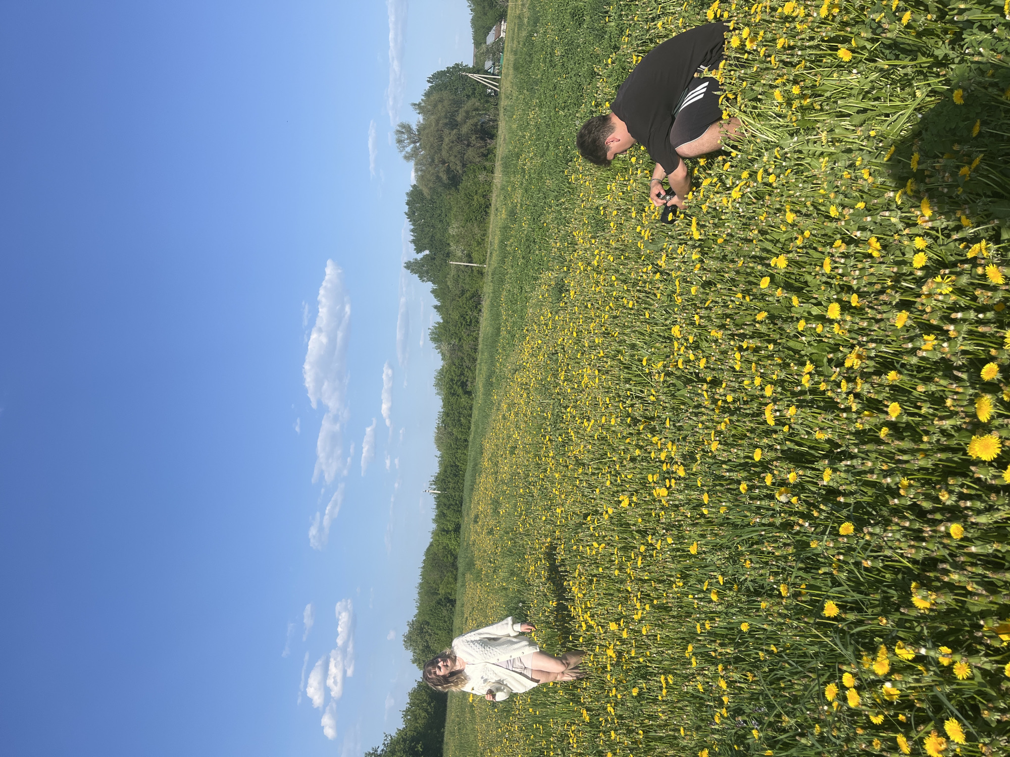 The image depicts a field of yellow dandelions under a bright blue sky with scattered clouds. Two people are present in the field. One person, wearing a black shirt and shorts, is crouched down, seemingly examining or interacting with the flowers. The second person, wearing a light-colored cardigan and dress, stands further away in the field. The setting appears to be in a rural or open space, with trees visible in the background. The location is mentioned to be Бахмутово, Russia.