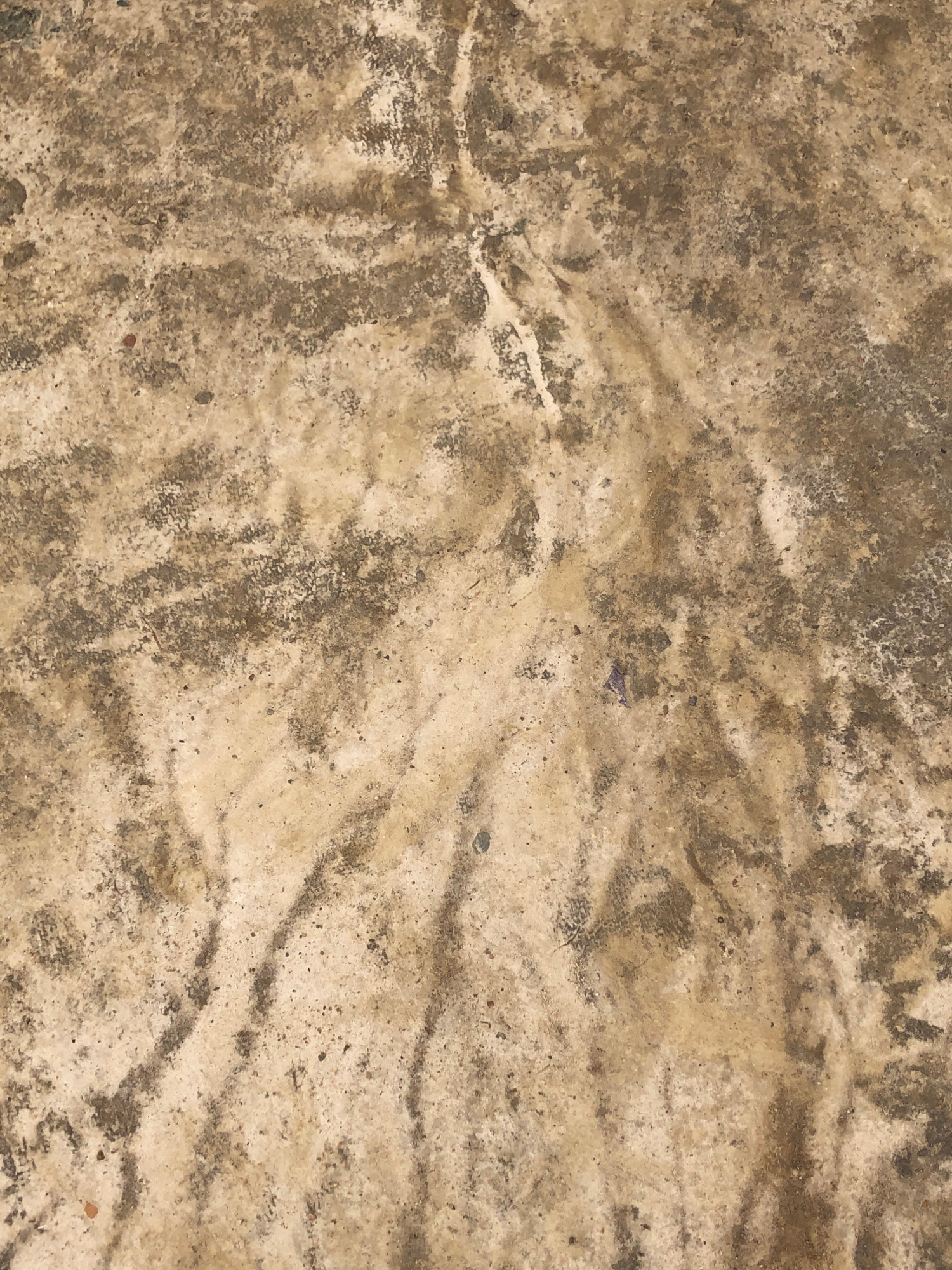 The image displays a close-up, overhead view of a textured, weathered surface, likely concrete or stone. The dominant colors are earthy tones of beige, brown, and gray, with variations in shading and a mottled appearance. There are visible patterns of darker, rougher patches interspersed with lighter, smoother areas, suggesting age and exposure to the elements. Small, granular specks are scattered across the surface. The texture appears somewhat uneven, with subtle undulations and streaks.
This image is not specifically located in Birgunj, Nepal. The provided visual information does not contain any identifiable landmarks, signs, or contextual clues that would link it to a specific geographical location, including Birgunj. The image solely focuses on the texture and material of the ground surface.
