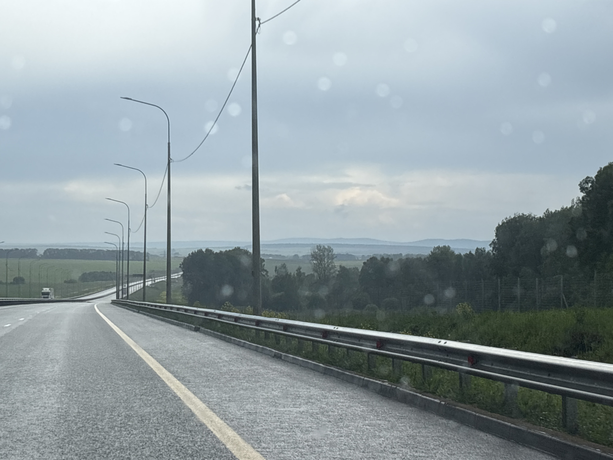 The image captures a perspective from inside a vehicle, looking out onto a wet highway or major road on an overcast day in what appears to be Александровское, Russia. The road surface is dark asphalt with a clear, solid yellow line marking the left edge of the lane, indicating a no-passing zone or shoulder. A metal guard rail runs along the right side of the road, separating it from a grassy verge and a dense line of trees beyond.
Numerous streetlights with curved arms are visible along both sides of the highway, receding into the distance. In the far distance on the left, a white semi-truck can be seen on the opposing side of the road, suggesting a divided highway. The landscape beyond the road features vast green fields and patches of trees, with a range of hills or mountains faintly visible on the distant horizon under a cloudy, light gray sky. The general weather appears to be overcast, and the wet road surface, along with several out-of-focus light specks (likely raindrops or water droplets on a window/lens), suggests recent or ongoing rain. The scene evokes a sense of journey and the expansive, rural environment common to such regions. There is no visible text in the image.