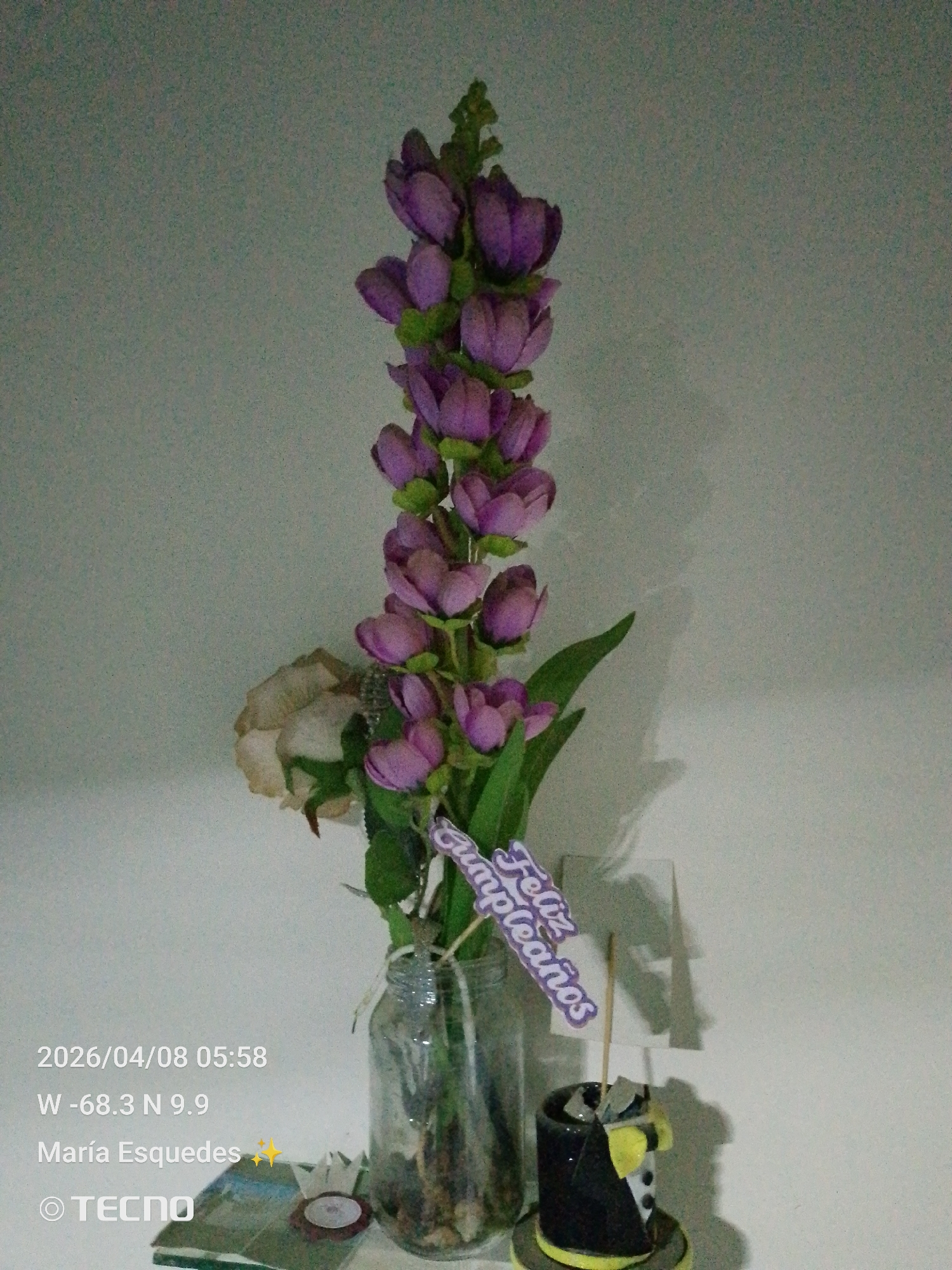 The image shows a floral arrangement consisting of purple flowers and a single white rose in a glass jar. A "Feliz Cumpleaños" sign is placed amongst the flowers. To the right of the jar, a small decorative object resembling a tuxedo or a cake is positioned. The image contains EXIF data indicating it was taken on 2026/04/08 at 05:58, with coordinates W -68.3 and N 9.9. The name María Esqueda is also included, along with the TECNO branding. The location is likely Tinaquillo, Venezuela, based on the coordinates.