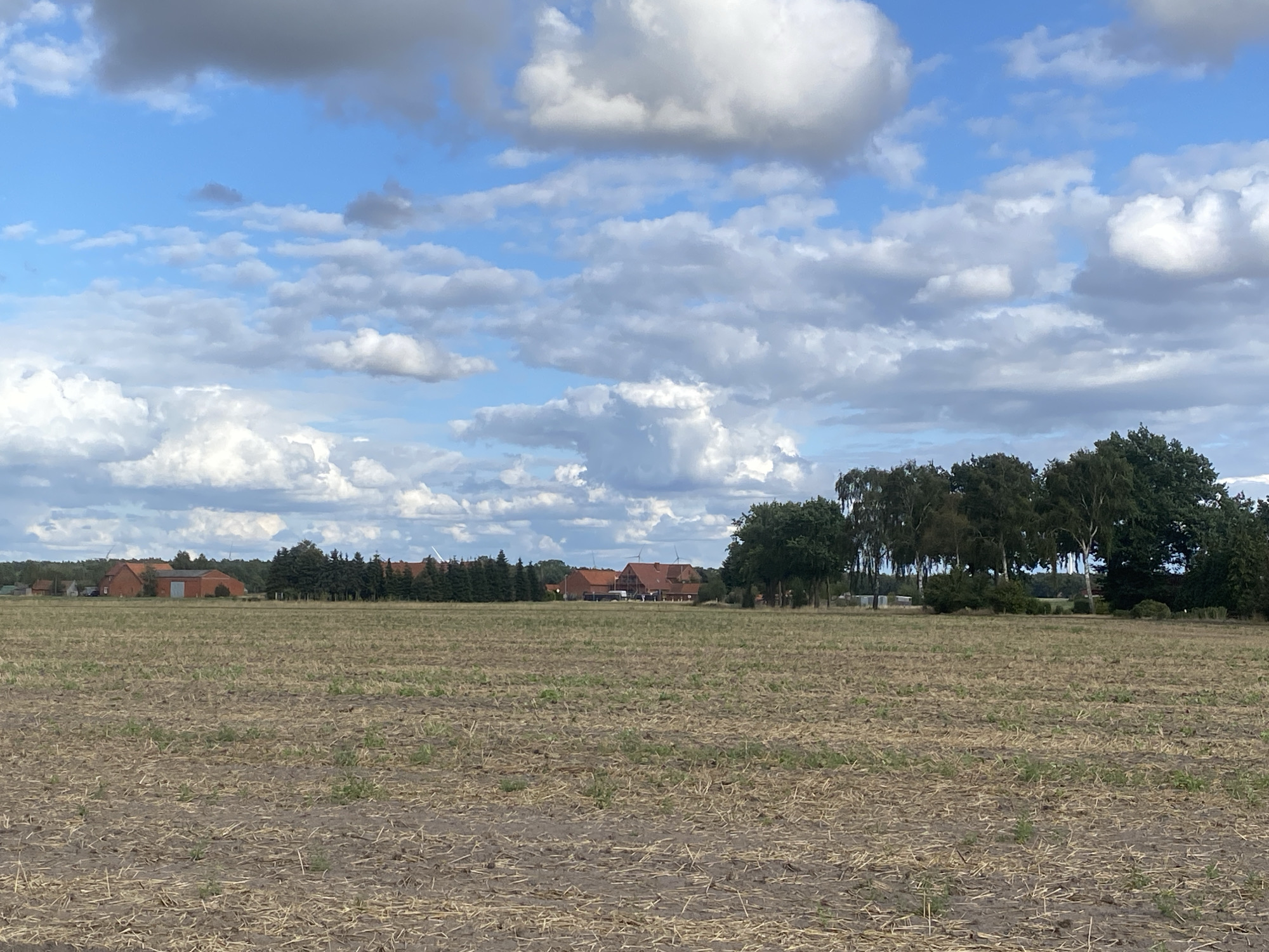 A wide shot captures a rural landscape on a cloudy day in Schwarme, Germany. In the foreground, a harvested field is characterized by dry, light brown stubble and soil. The middle ground features a line of buildings with red-tiled roofs, partially obscured by a dense row of dark green trees. Beyond the trees, the sky is a vibrant blue, dotted with numerous white and gray cumulus clouds. Wind turbines are visible in the distance.
