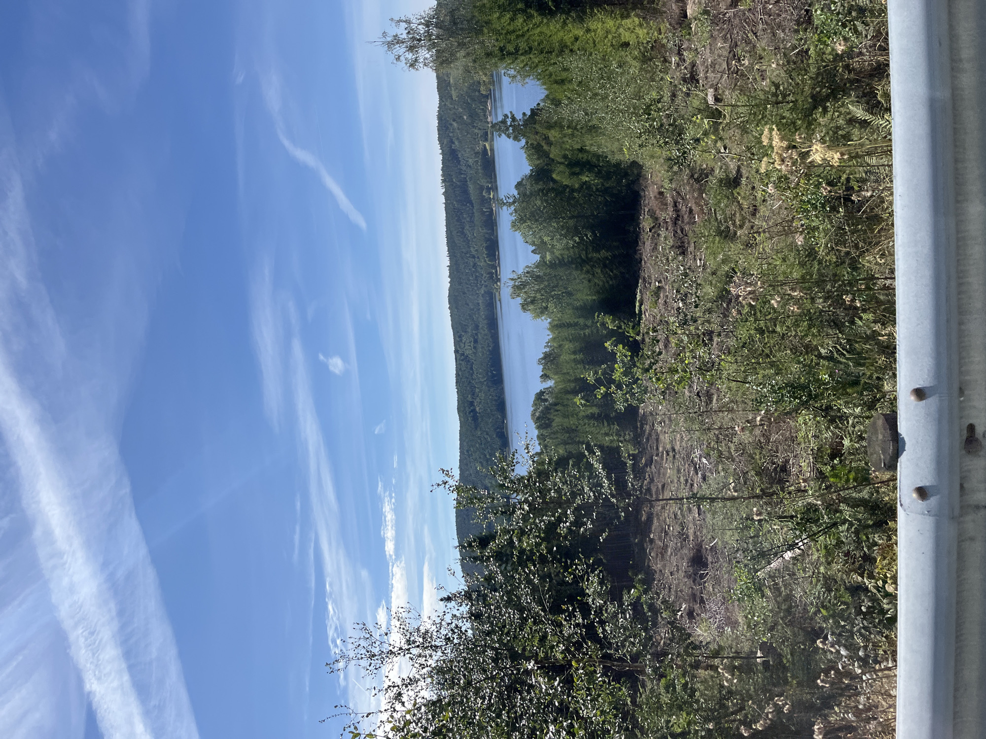 The image depicts a scenic view of a lake, a forested hillside, and a clear blue sky with wispy clouds. In the foreground, there is a metal railing, suggesting the viewpoint is from a bridge or a similar elevated structure. The landscape is lush with green trees and vegetation, with evidence of recent logging in the middle ground, where bare earth and tree stumps are visible. The lake is calm and reflects the blue of the sky. The overall impression is a natural setting with signs of human activity, likely in the vicinity of Halden, Norway, known for its picturesque natural beauty.