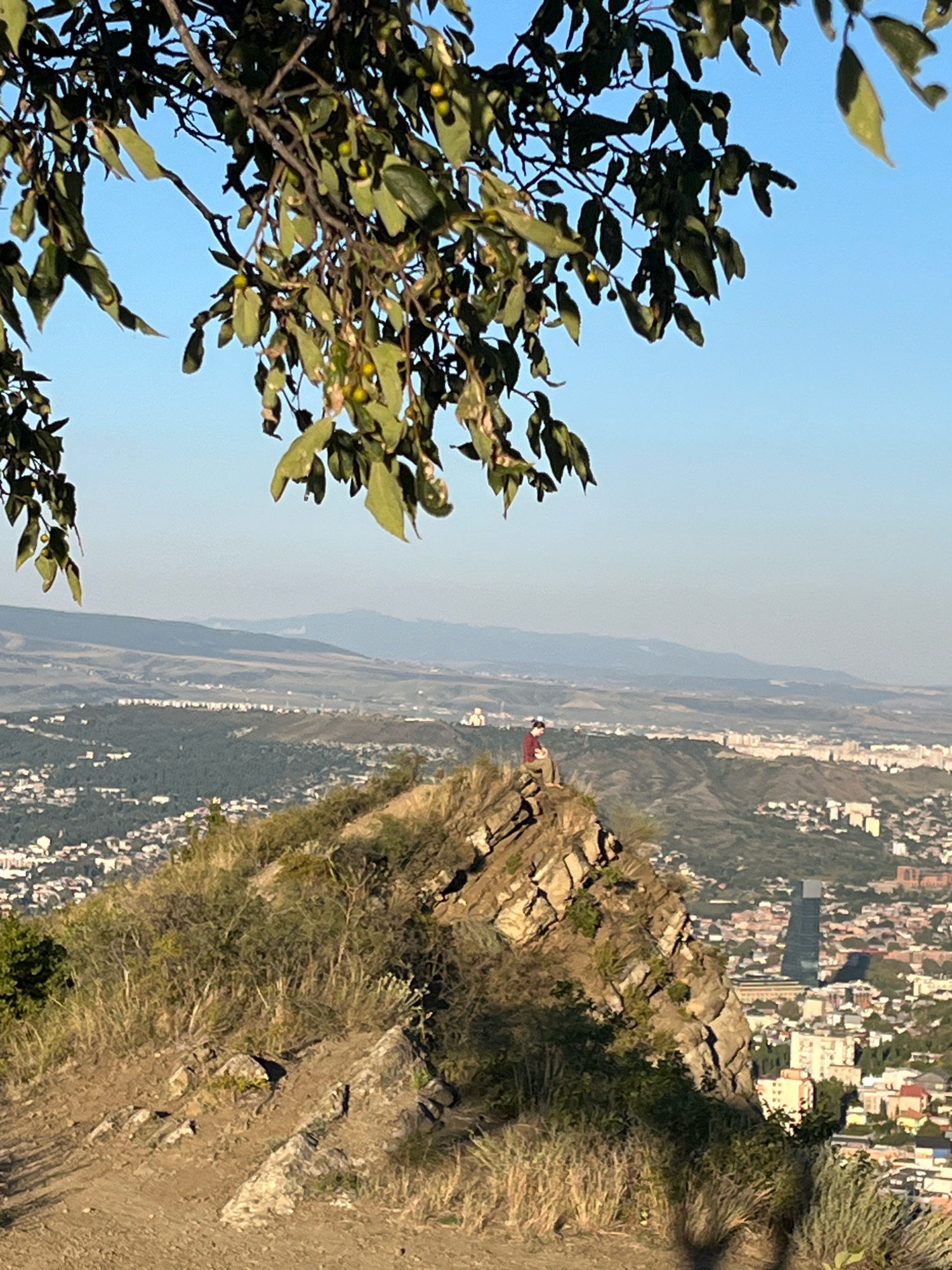 The image captures a scenic overlook of Tbilisi, Georgia, from a high vantage point. In the foreground, a tree branch with green leaves and small yellow fruits hangs over the scene, framing the view. Below, a person is perched on a rocky outcrop, gazing out at the sprawling cityscape. The city unfolds in layers, with residential areas and buildings descending down hillsides, interspersed with greenery. In the distance, a modern skyscraper stands tall amidst the older architecture. The background reveals a hazy mountain range under a clear blue sky, indicating a serene, possibly late afternoon, atmosphere. The terrain in the immediate foreground appears to be a dusty path leading to the overlook, with sparse vegetation and rocks.