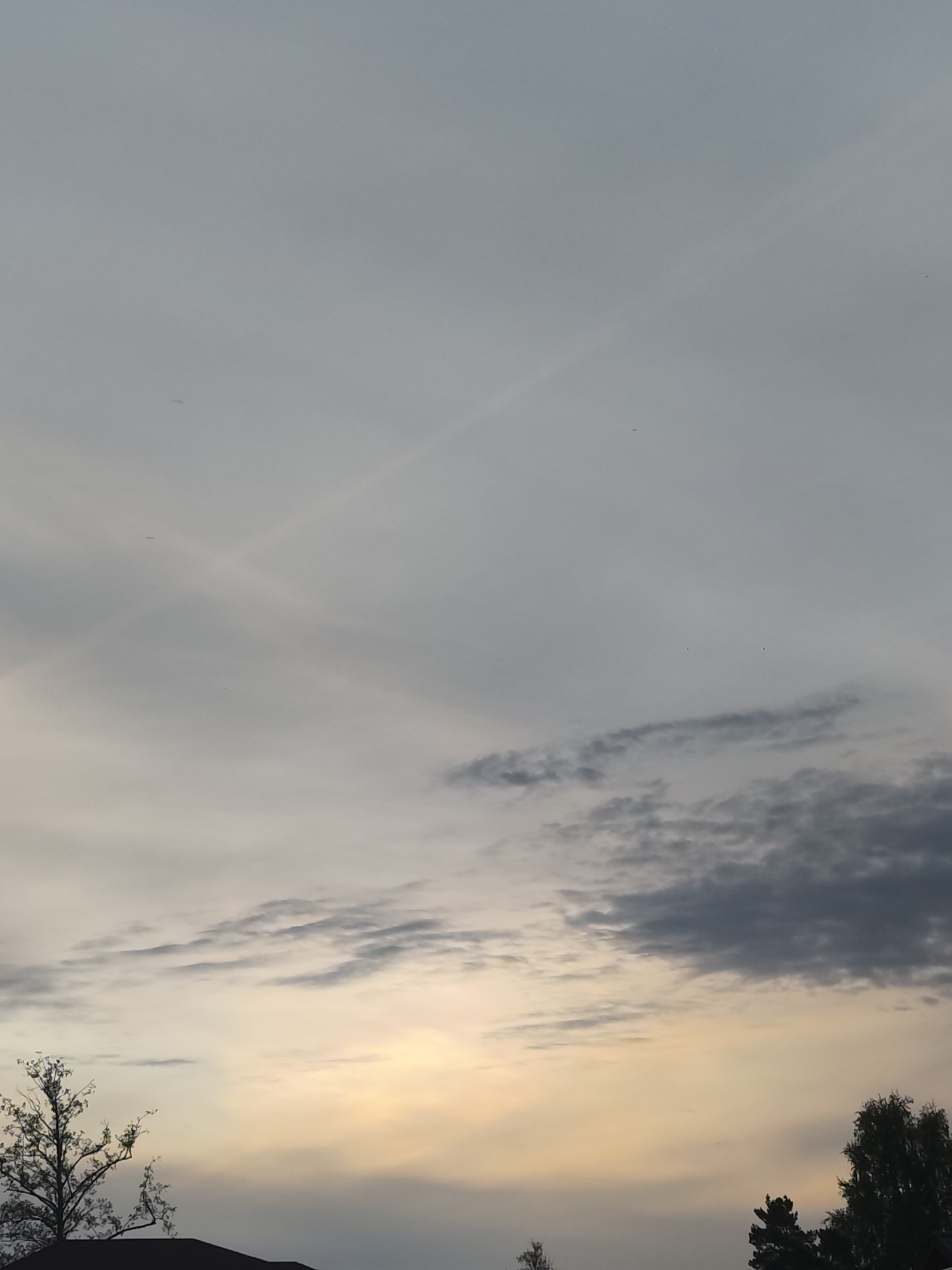 The image depicts an overcast sky at dusk or dawn, with light orange/yellow hues appearing near the horizon. Darker, layered clouds are present in the mid-ground of the sky. Aircraft contrails form a crossing pattern in the upper portion of the sky. The bottom of the image shows silhouetted trees and the outline of a rooftop.
There is no evidence in the image to suggest a specific location in Chaikovsky, Russia.