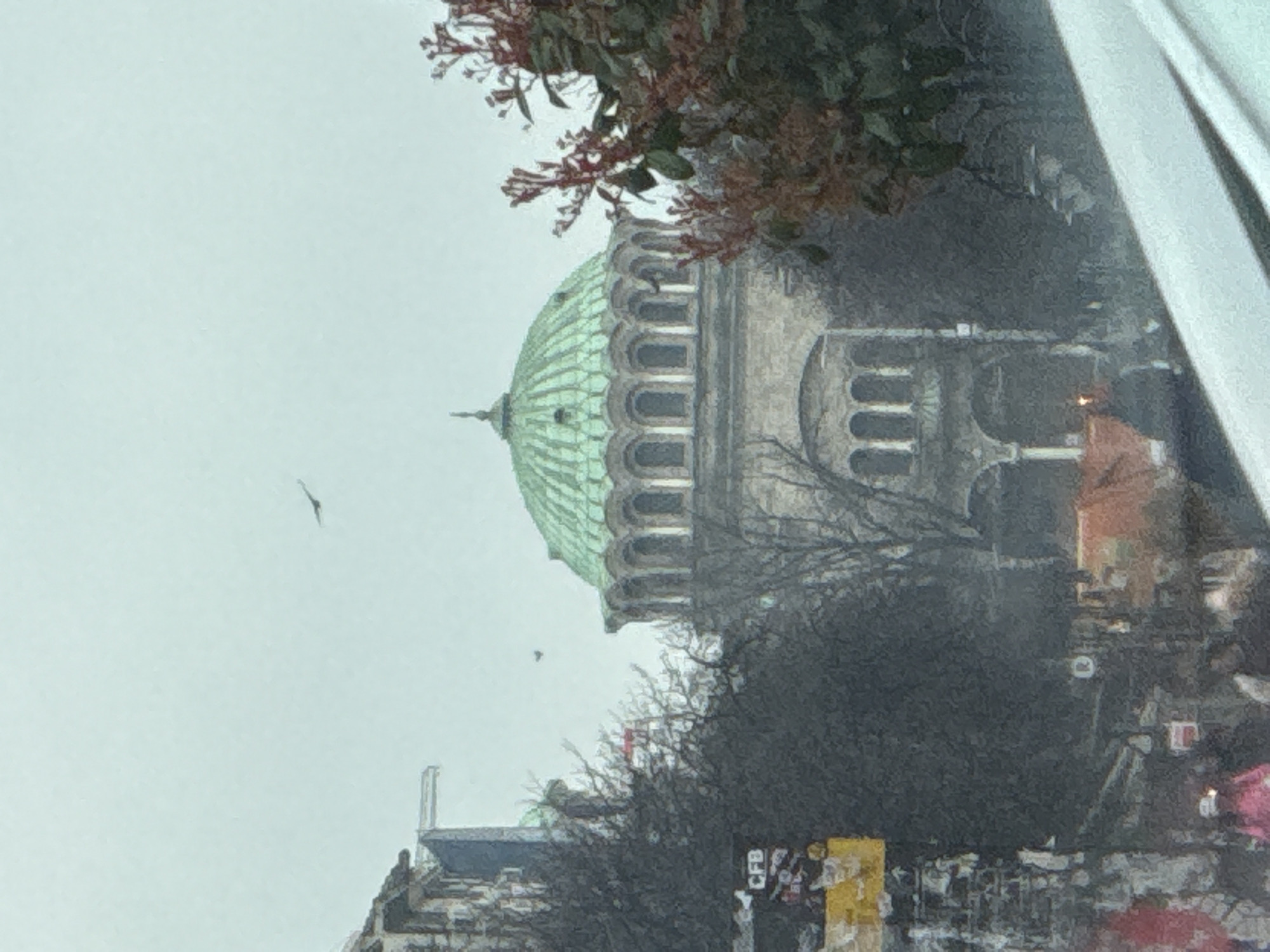The image captures a view of the Sveti Sedmochislenitsi Church in Sofia, Bulgaria, under an overcast sky. The church's main dome, characterized by its fluted, patinated green copper surface and a finial, sits atop a drum featuring a series of arched windows. Below this, the church's stone facade includes further levels of arched openings, forming what appears to be arcades or entrances.
To the left of the church, a density of bare deciduous tree branches partially obscures other urban structures. A building on the far left exhibits a weathered appearance, with a yellow sign displaying "CFB" prominently affixed to its lower section. On the right side of the frame, a bush with reddish-brown foliage and small red growths partially enters the scene, obscuring a portion of the church.
In the lower mid-ground, at street level, several indistinct human figures are visible. One individual near the lower left is discernible wearing a bright pink jacket and a white hat. Another figure displays an orange glow, possibly from a garment or a light source. A faint orange canopy structure is also present among the lower elements. At least two birds are in flight against the light grey, uniform sky; one larger bird is positioned centrally, flying left, while a smaller dark bird is further to the left. A white, undefined object or surface is visible along the bottom right edge, suggesting the photograph was taken from an elevated position or through a barrier, possibly from inside a vehicle. The overall environment suggests an urban setting on a cool or cold day.