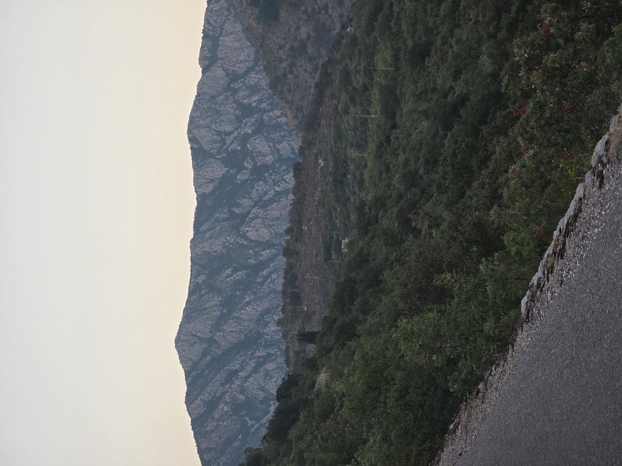 The image displays a mountain landscape at dusk. In the foreground, a paved road slopes downwards from left to right, bordered by rough gravel and vegetation. Beyond the road, a dense forest covers a hillside, with trees exhibiting a variety of green hues. In the mid-ground, the terrain is more rugged and sparsely vegetated. Dominating the background is a large mountain range with jagged, rocky peaks. The sky above is a pale, gradient hue, transitioning from a soft yellow near the horizon to a light beige at the top, indicating twilight. No people or animals are visible in the scene. The overall impression is one of natural, rugged beauty in a remote mountainous region.