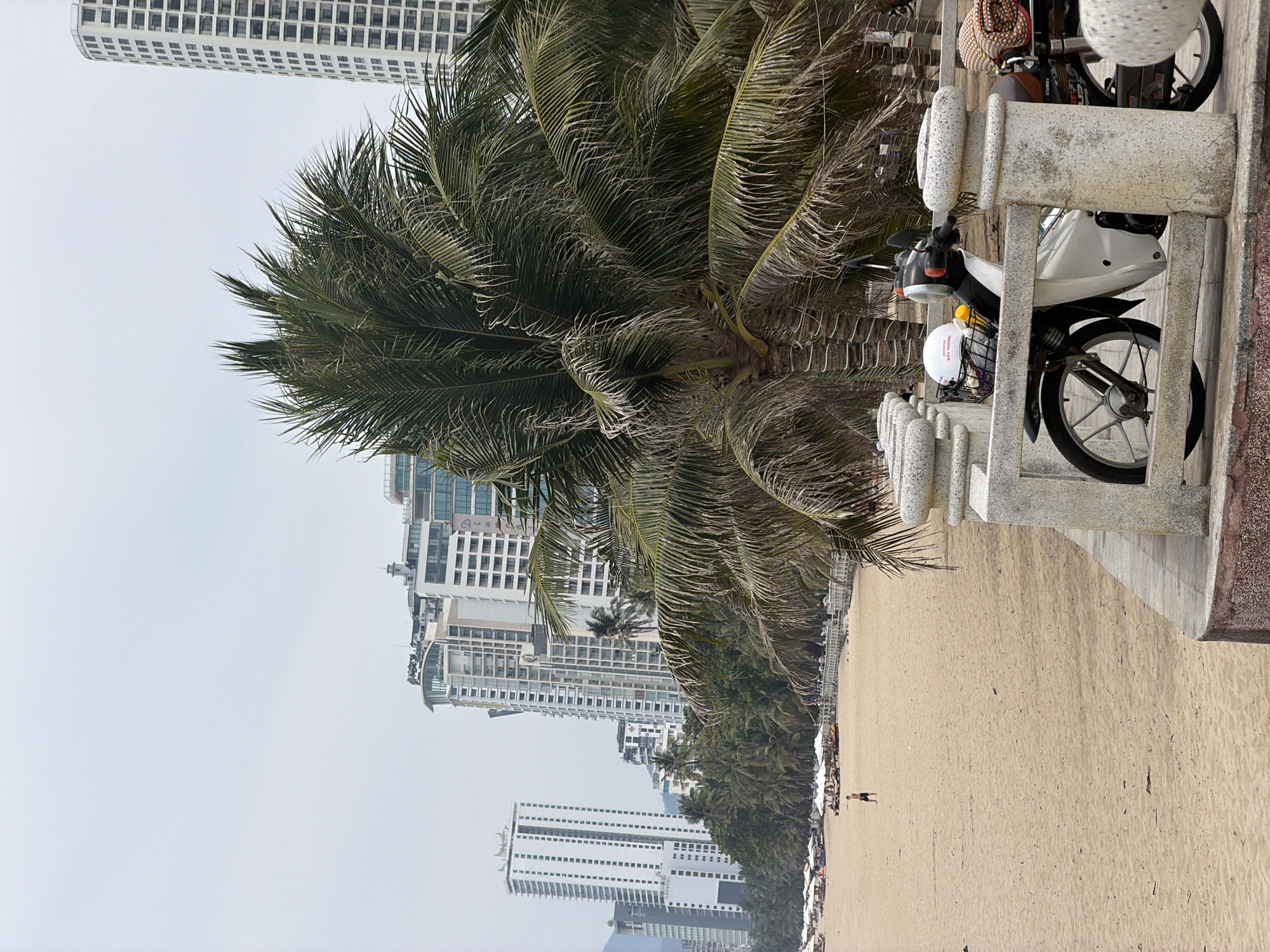 The image captures a beach scene in Nha Trang Ward, Vietnam, with a sandy beach bordered by a line of palm trees and modern high-rise buildings in the background. A concrete wall with decorative posts separates the beach from a paved area where two parked motorbikes can be seen. On the beach, a few individuals are sparsely scattered. The sky is overcast.