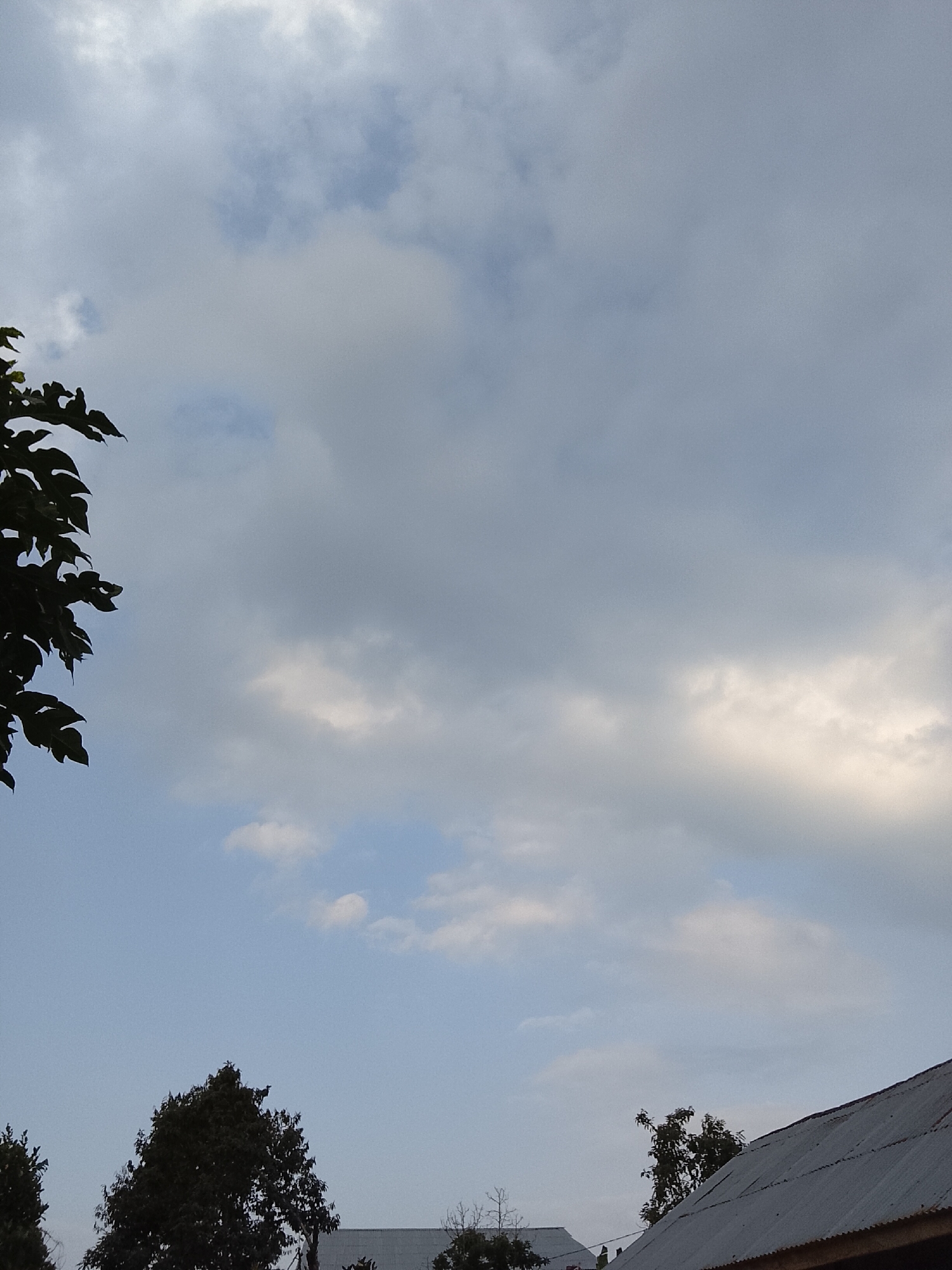 The image captures a cloudy sky over Padang Dalom, Indonesia. In the foreground, the dark, silhouetted leaves of a plant are visible on the left side, partially obscuring the sky. Below the sky, the dark green canopy of a large tree is prominent in the lower center of the frame. To the right of the tree, a portion of a corrugated metal roof belonging to a building is visible, angled upwards. Further to the right, more of the tree and another building's roof are partially visible. The sky itself is filled with a mix of grey and white clouds, with patches of lighter blue sky peeking through. The overall scene suggests an outdoor environment, likely during the day, with overcast or partly cloudy weather conditions.