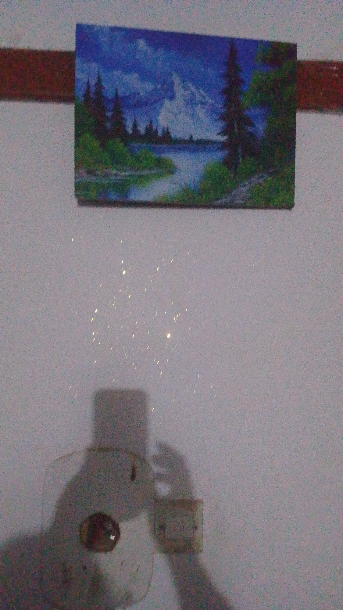 A rectangular painting of a mountain lake scene with pine trees is mounted on a white wall above a reddish-brown decorative border. The painting depicts a tranquil body of water reflecting a mountainous landscape under a blue, cloudy sky. Dark green pine trees and lush foliage are visible along the shore. Below the painting, scattered light specks, possibly from a glittery texture on the wall or light reflections, are present. In the lower half of the image, a shadow of a person holding a camera or phone is visible, capturing the scene. The person's hands are visible, and a portion of their face or head is obscured by the device. A small electrical outlet or switch is also visible in the shadow. The overall environment appears to be indoors, with the lighting casting a shadow on the wall.