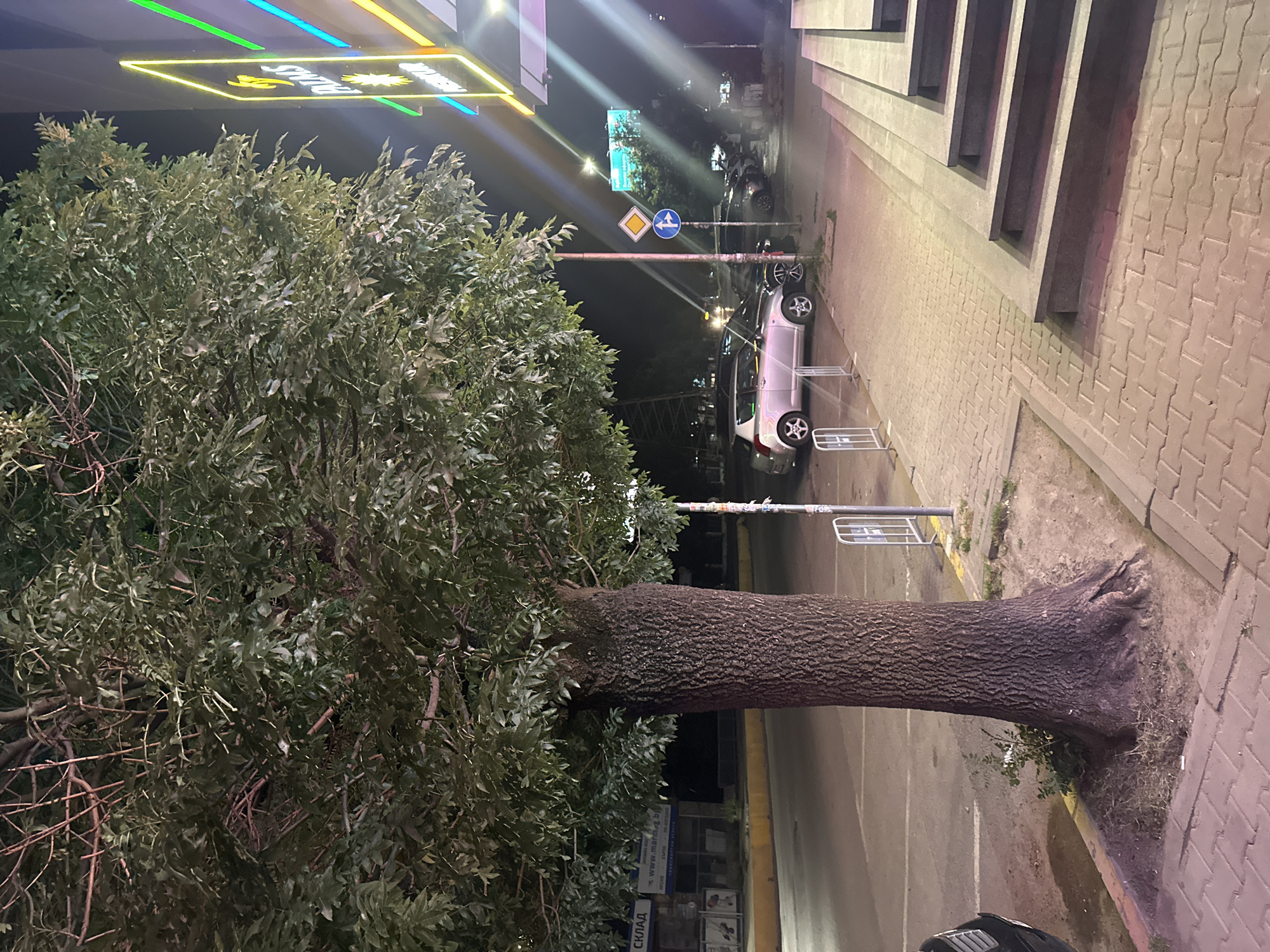 This is a medium-shot, eye-level, outdoor, nighttime photograph of a tree and street scene. In the foreground, a large tree with a textured, dark brown trunk stands on the left side of the frame. Its branches and green leaves fill the upper portion of the image, obscuring parts of the sky and a building to the right. The tree is rooted in a patch of dirt and dry grass, adjacent to a sidewalk made of light brown interlocking pavers.
The sidewalk extends towards the right of the frame, leading to a set of wide, concrete steps with a stone facade. To the left of the sidewalk, a street is visible, with a yellow painted curb. Several cars are parked along the street. The closest visible car is a silver hatchback, and behind it are darker colored vehicles. A metal fence or barrier is present in front of the silver car.
Further down the street, a building with brightly lit neon signs is visible on the right side of the frame. The signs are yellow, blue, and green, with text that includes "PALMS" and "NEKTAR". Streetlights and the glow from the building illuminate the scene, casting long shadows and creating reflections. Traffic signs, including a diamond-shaped yellow sign and a circular blue sign with arrows, are mounted on a pole near the parked cars. In the background, other buildings and elements of a city environment are dimly visible. No people are clearly identifiable in the scene.