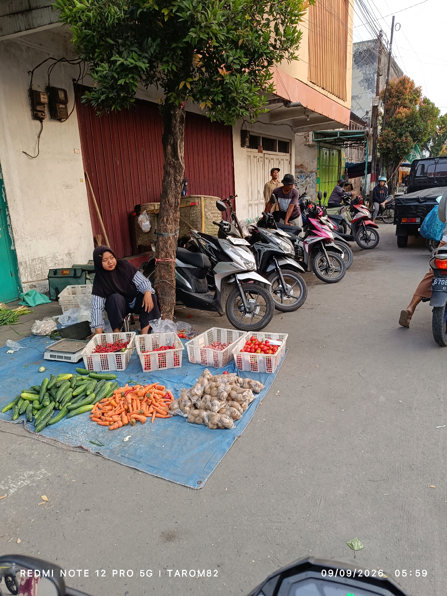 A street market scene unfolds in Ngoro, Indonesia, captured from a low vantage point, likely from a motorcycle. The foreground is dominated by a blue tarp laid out on the pavement, displaying a colorful assortment of fresh produce. Piles of green cucumbers, bright orange carrots, and bags of what appear to be potatoes are arranged for sale. In white plastic baskets, red chili peppers and small red tomatoes are neatly displayed. A woman, wearing a black hijab and a striped long-sleeved shirt, sits on a stool behind some of the produce, seemingly tending to her stall.
Behind the market stall, a line of parked motorcycles, in various colors including silver, black, and pink, suggests a common mode of transportation. The background reveals a street scene with a building that has a brown corrugated metal facade and a section with beige vertical paneling. Electrical meters are visible on the exterior wall of the building. Further down the street, more buildings and trees line the area. A black truck and a blue motorcycle are also present, indicating the flow of traffic and commerce. The overall atmosphere is that of a typical day at a local Indonesian market, bustling with vendors and shoppers. The timestamp at the bottom indicates the image was taken on September 9, 2026, at 05:59.