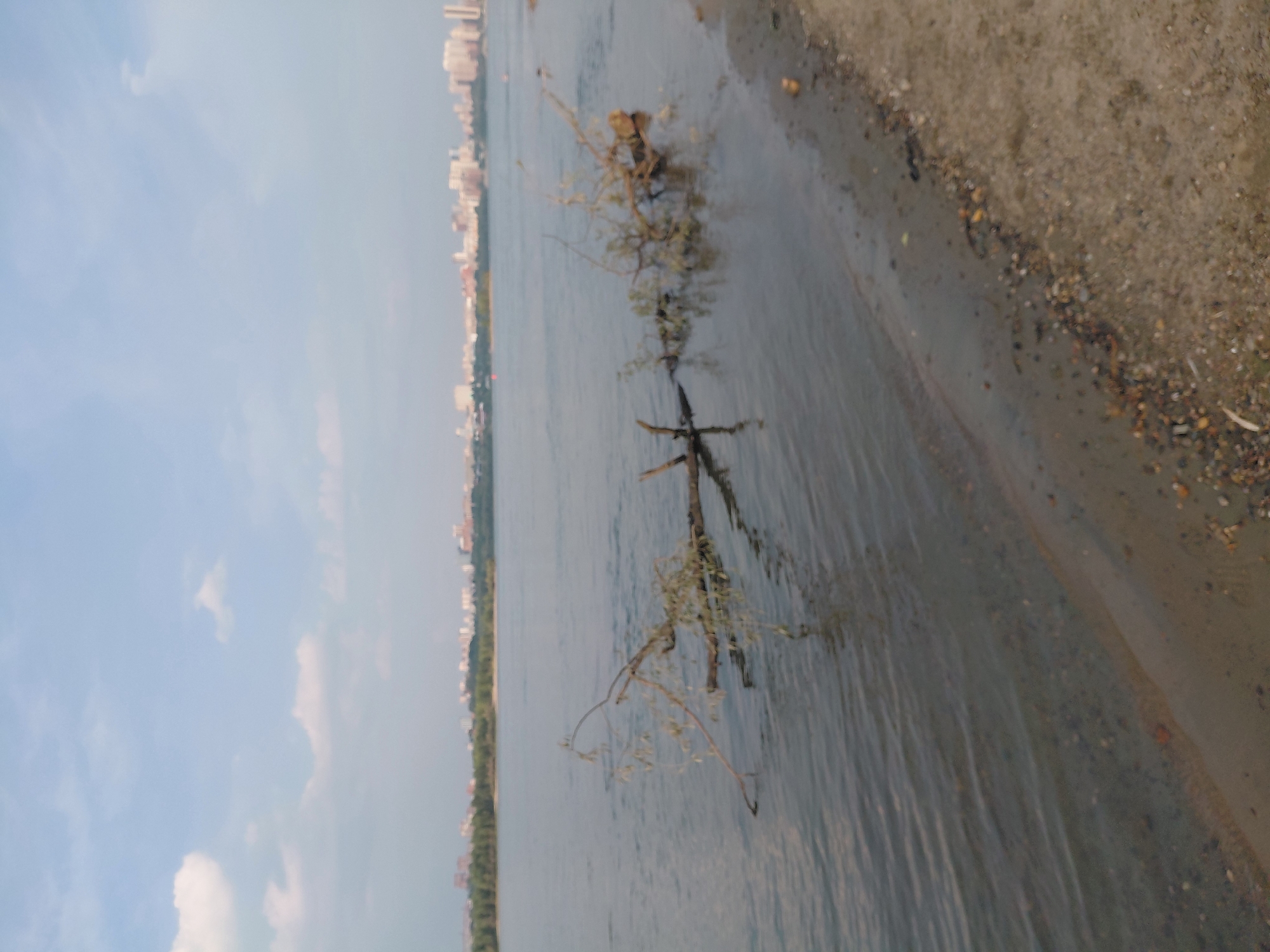 The image depicts a wide river with a fallen tree submerged partially in the water near the shore. The shore is sandy with scattered pebbles and debris. In the background, across the river, a city skyline with numerous buildings is visible, suggesting an urban environment. The sky is partly cloudy. This scene is likely located in Novosibirsk, Russia, given the description of a wide river and a city skyline in the background. No people or specific actions are visible in the image.